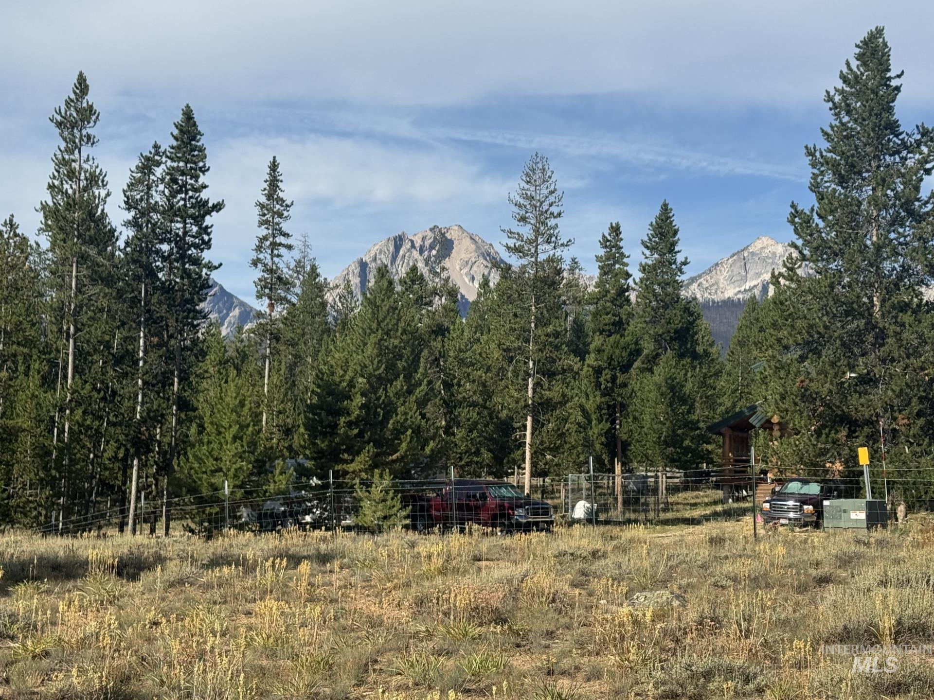 View of mountain background with a forest