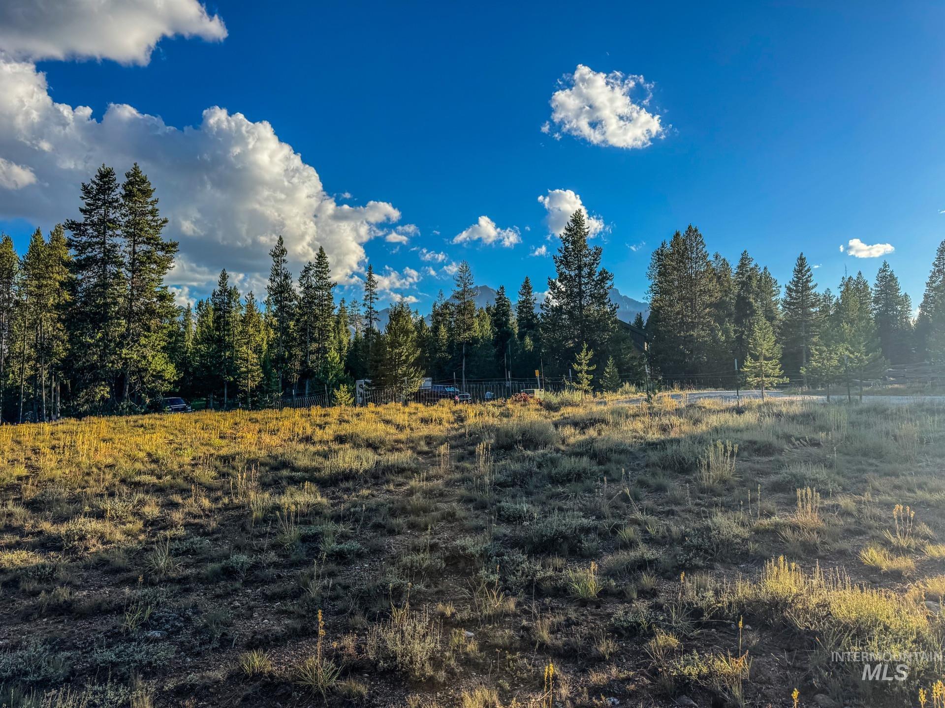 View of wooded area with a rural view