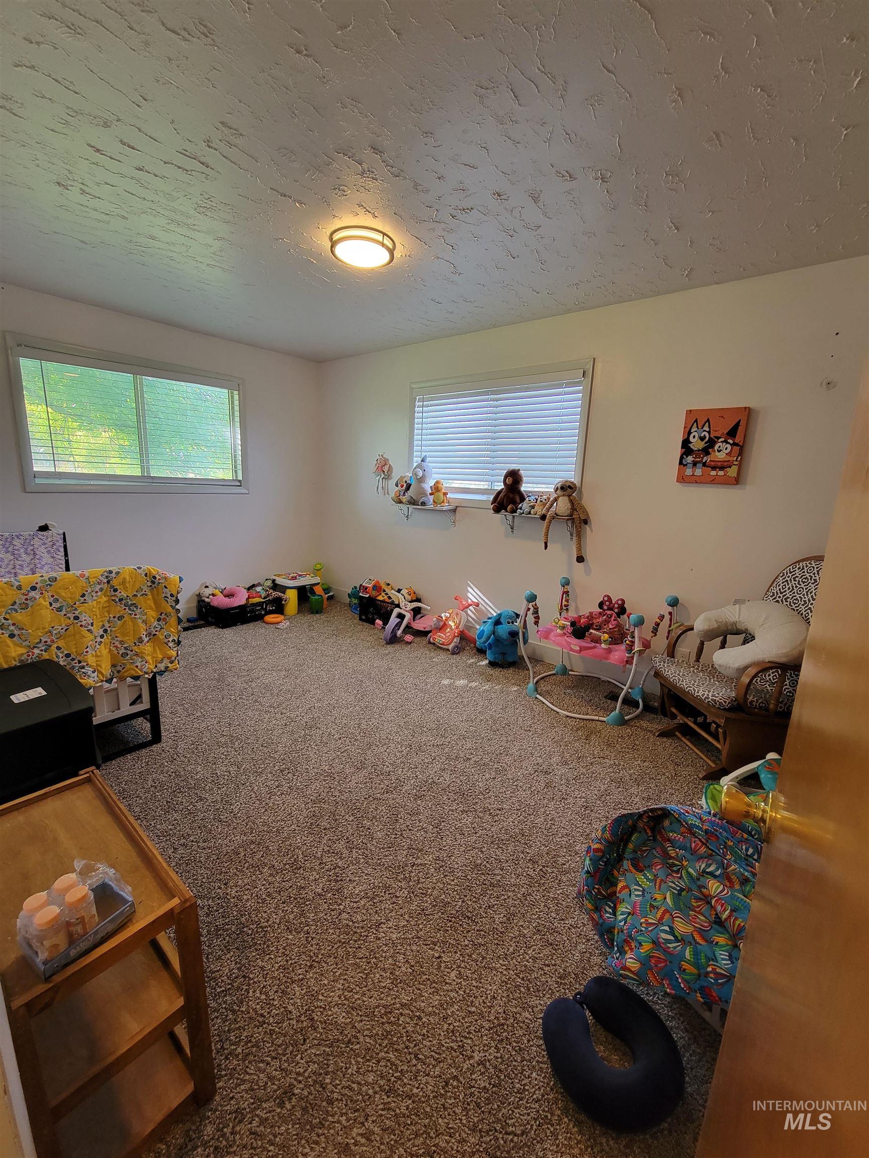 Recreation room with carpet flooring and a textured ceiling