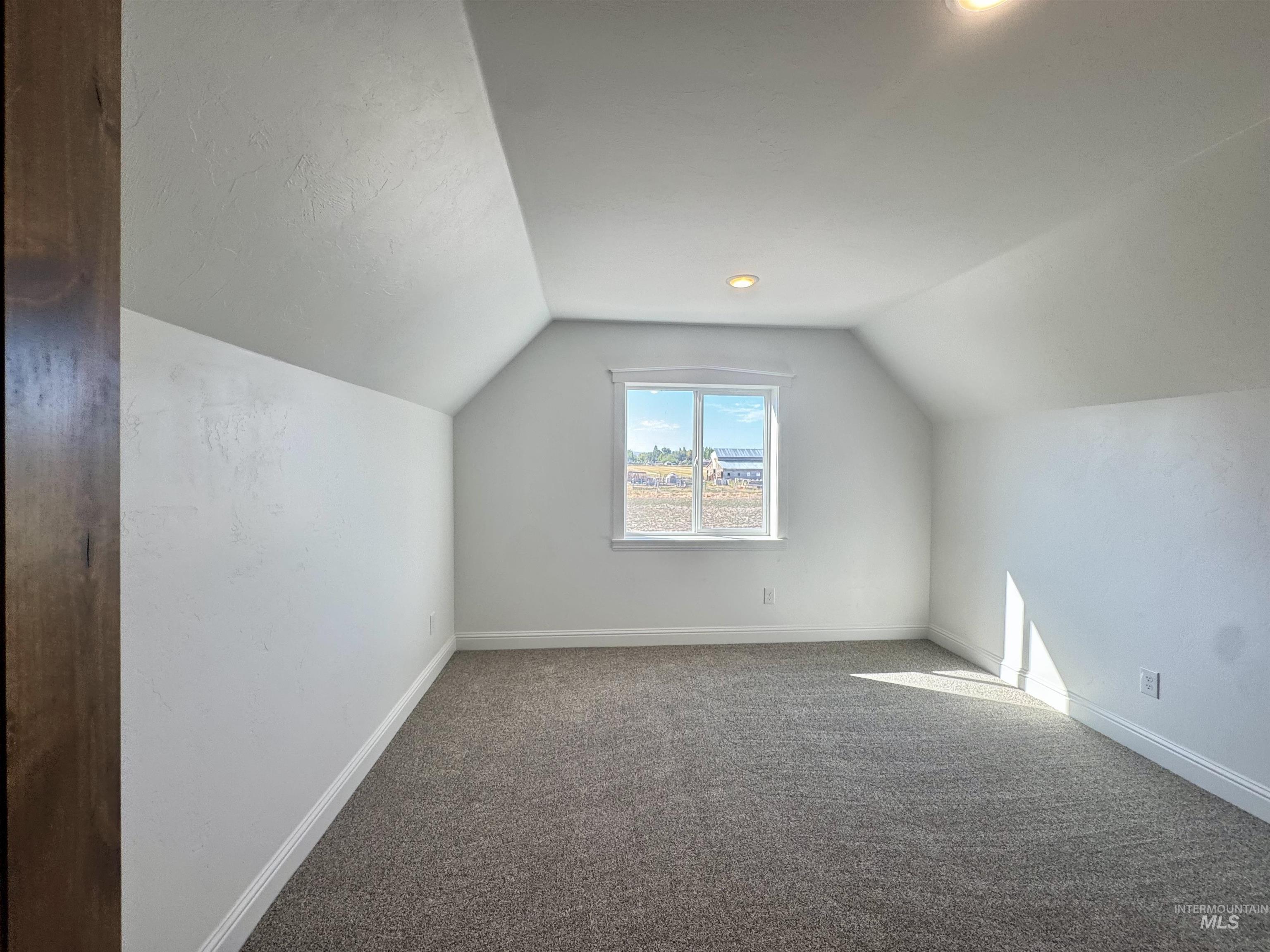 Additional living space featuring lofted ceiling and carpet