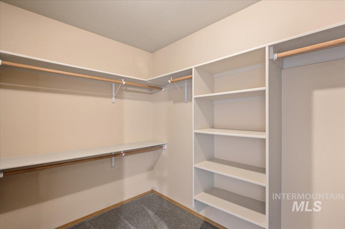 Spacious closet featuring carpet floors