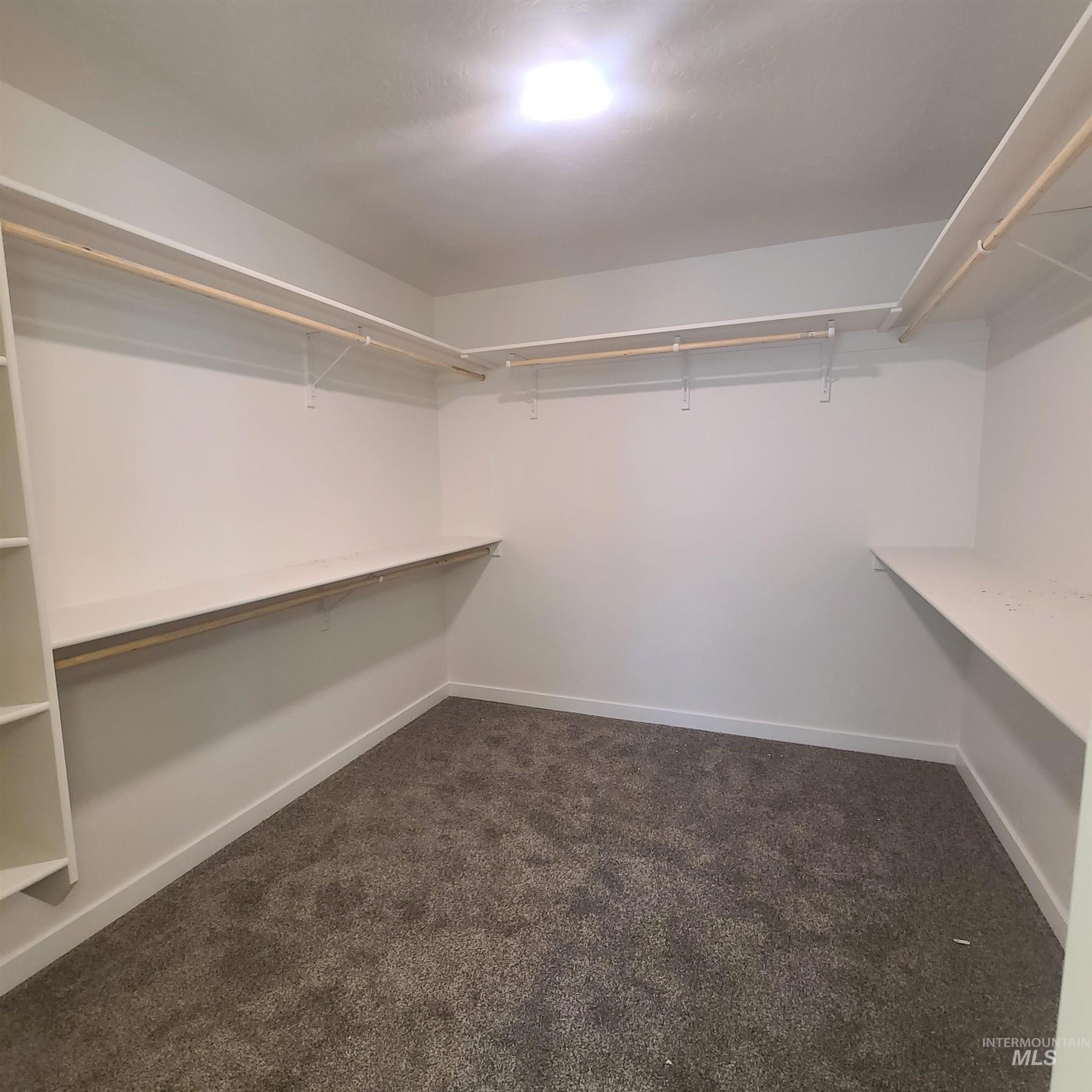 Walk in closet with dark colored carpet