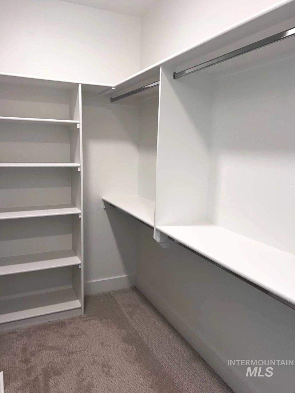 Walk in closet with light colored carpet