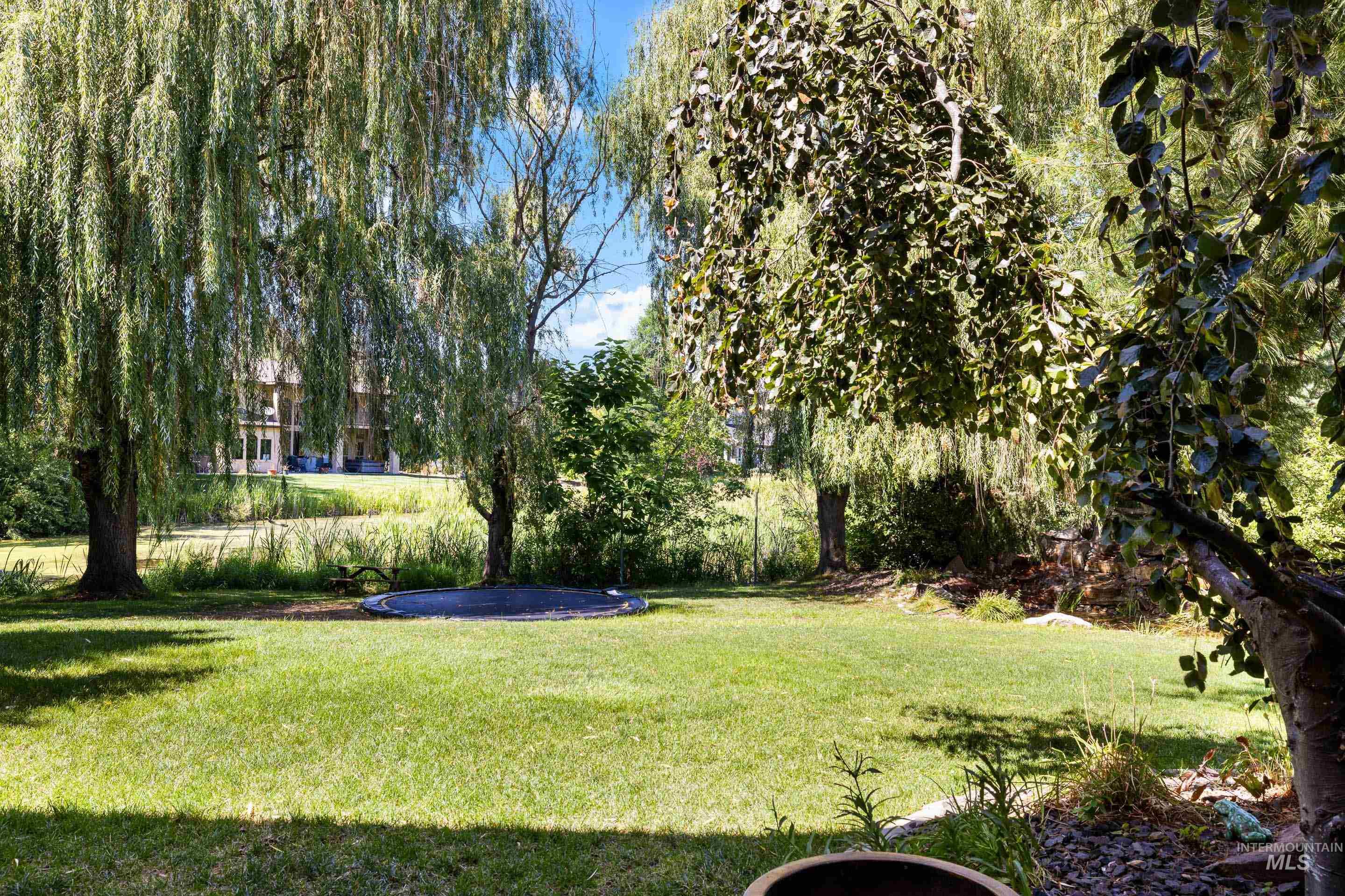View of green lawn