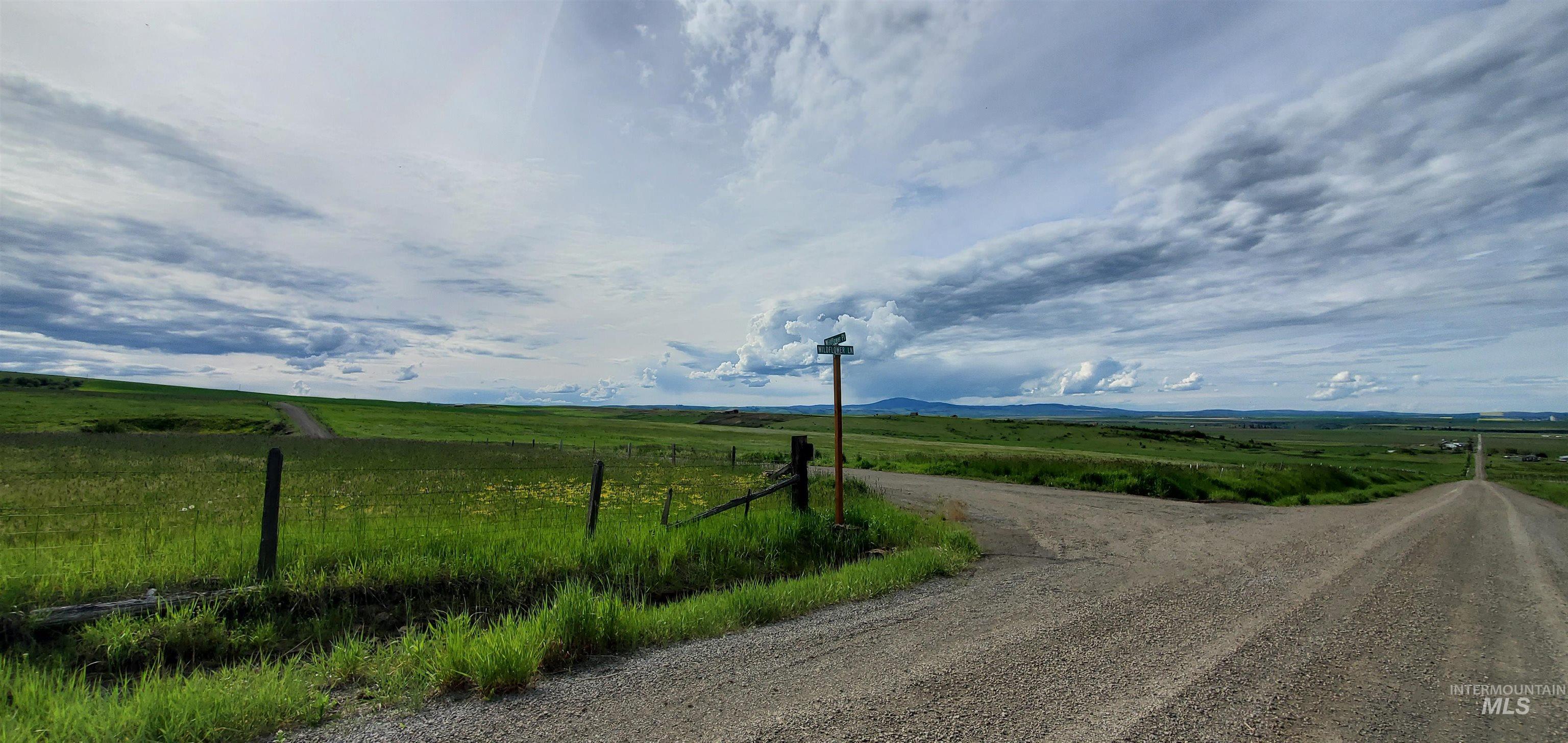 View of dirt / gravel road featuring a view of rural / pastoral area