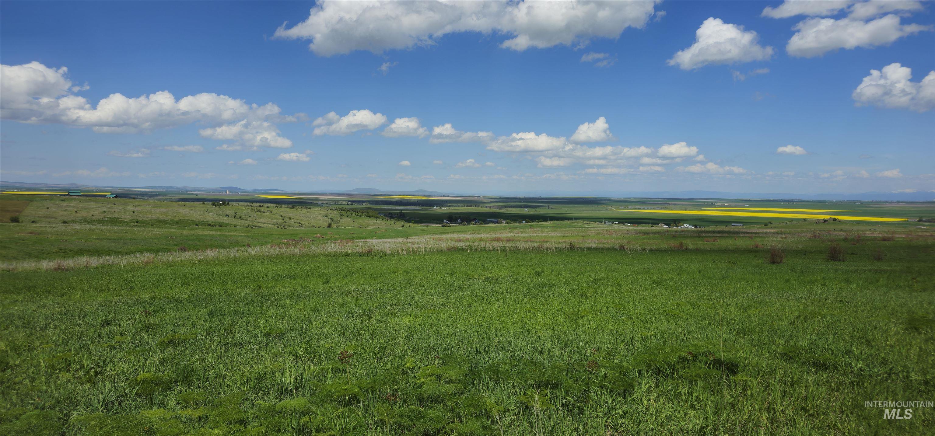 View of yard with a view of rural / pastoral area