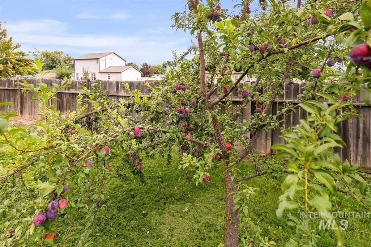 20574 Brown St., Greenleaf, Idaho 83626, 3 Bedrooms, 2 Bathrooms, Residential For Sale, Price $349,000, 98961634