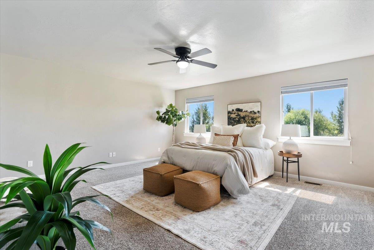 Carpeted bedroom with multiple windows and ceiling fan