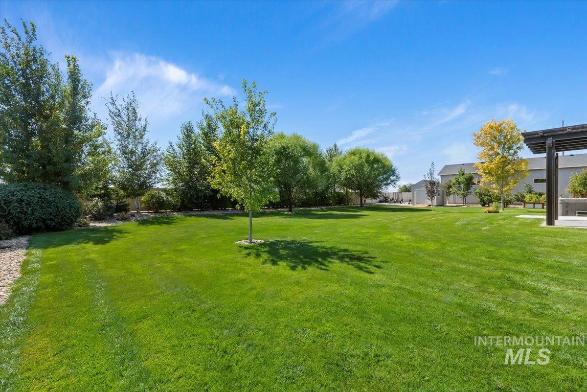 View of green lawn