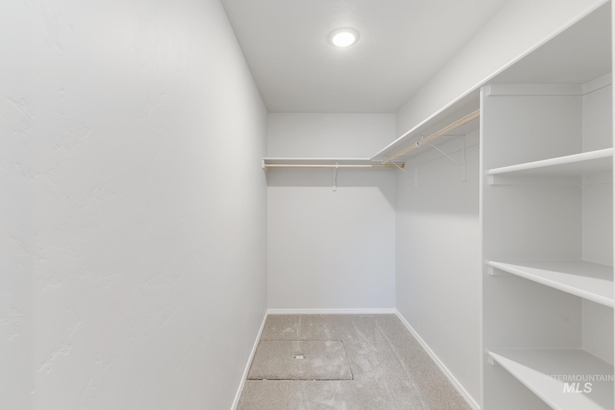 Spacious closet with carpet floors