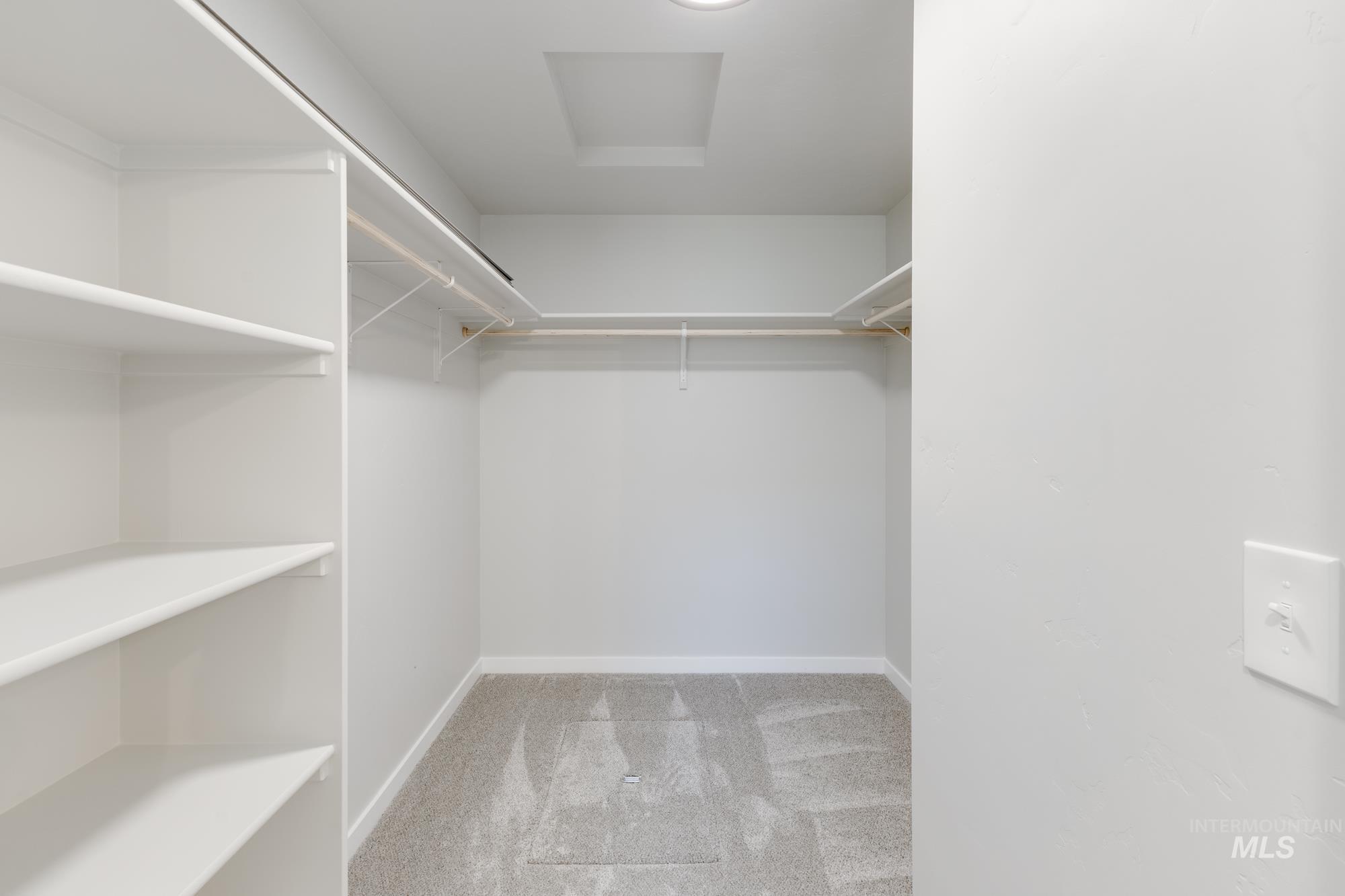 Walk in closet featuring carpet