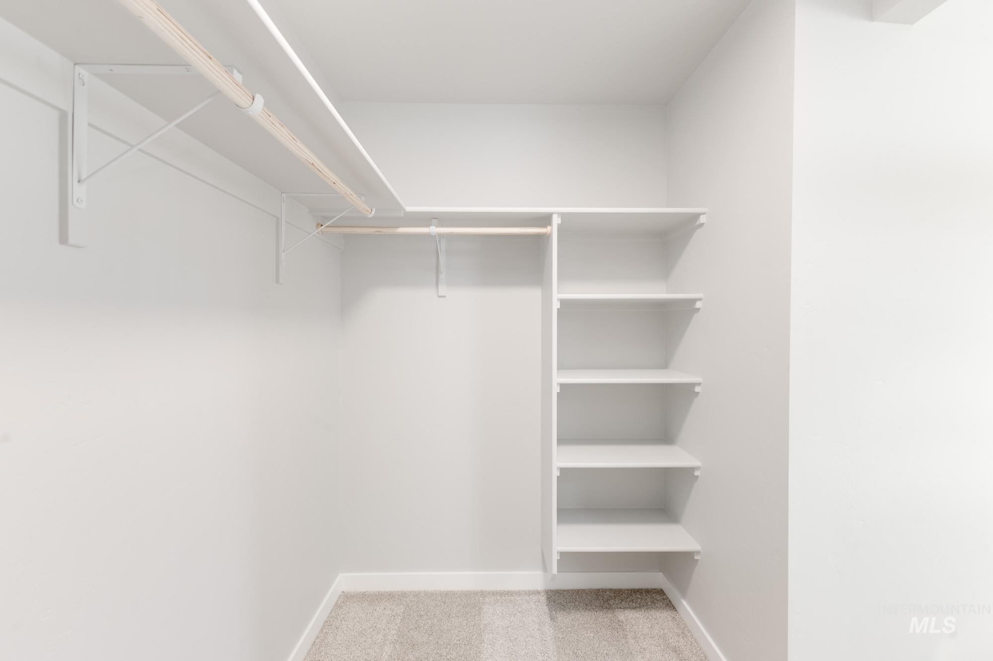 Walk in closet with carpet