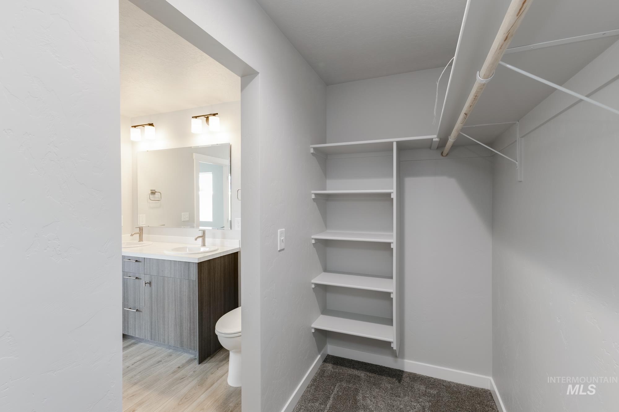 Spacious closet featuring a sink and light wood-type flooring