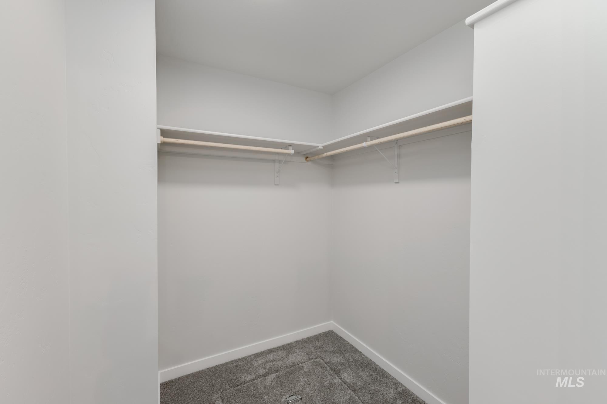 Walk in closet featuring carpet flooring
