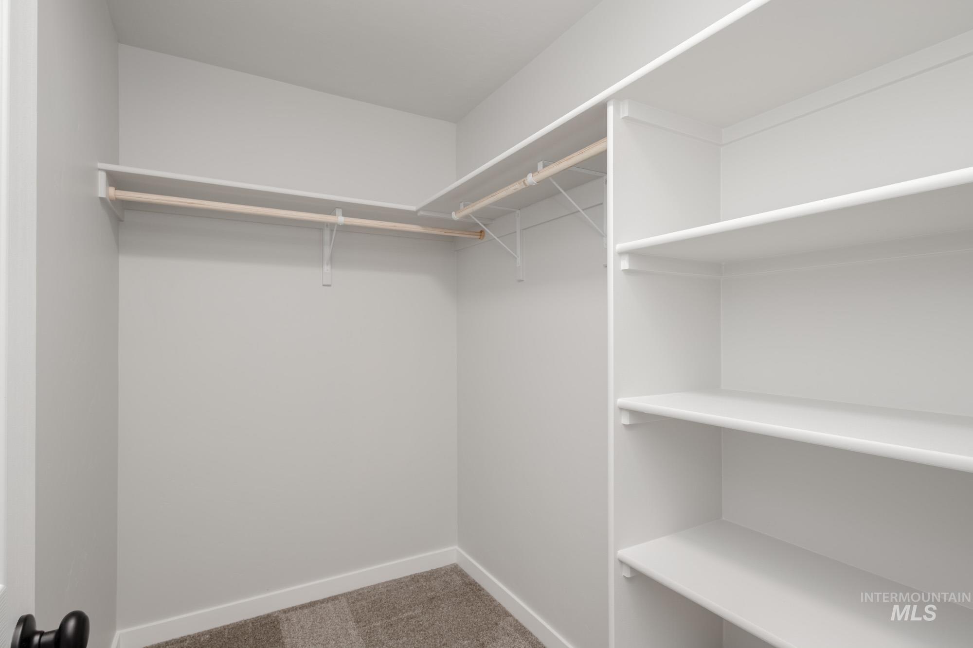 Spacious closet featuring carpet flooring