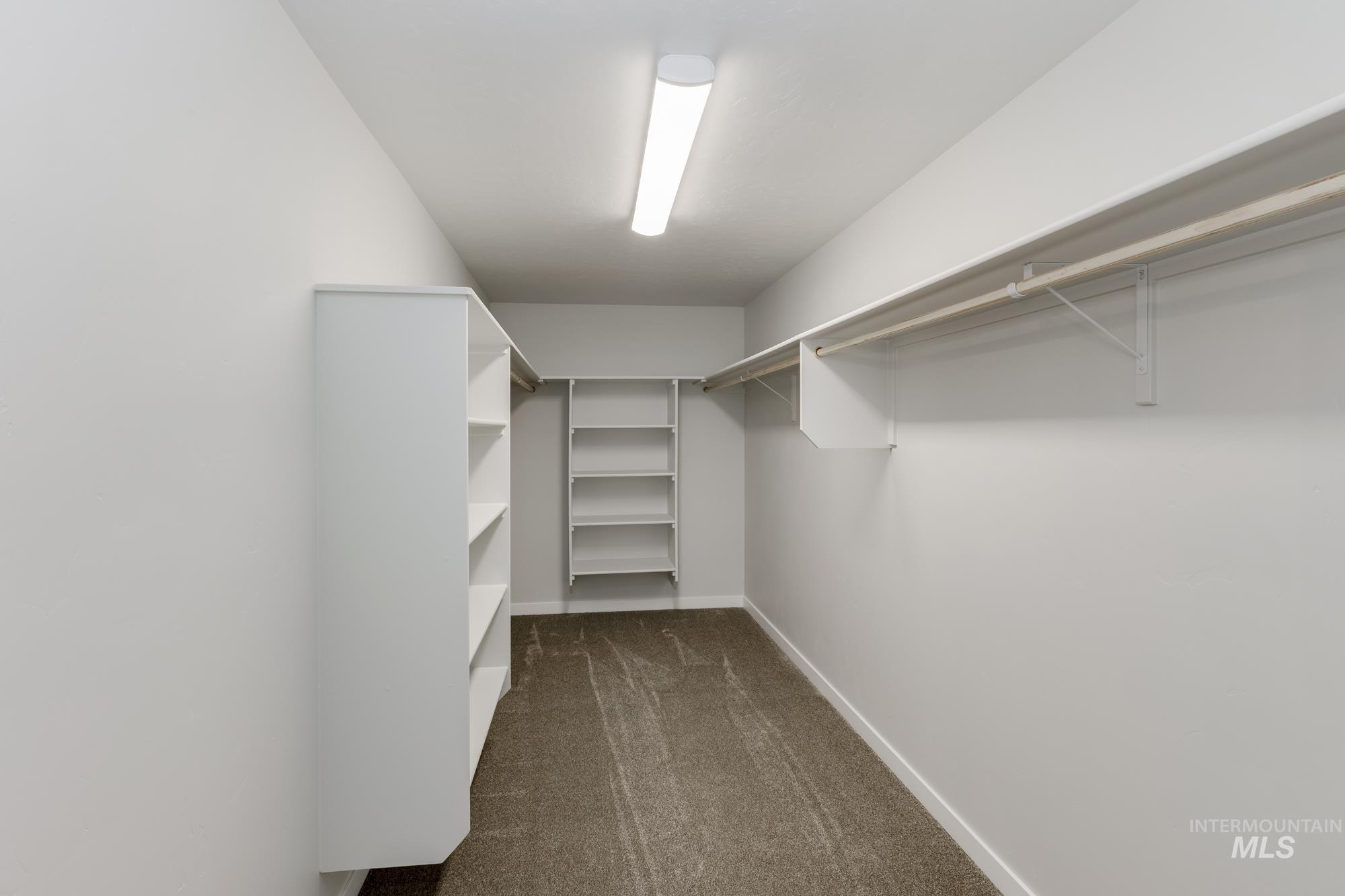 Walk in closet featuring dark colored carpet