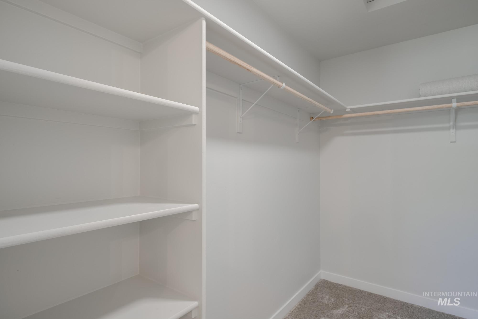 Spacious closet with carpet