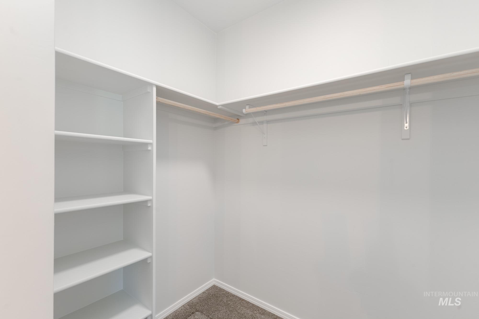 Spacious closet featuring carpet flooring