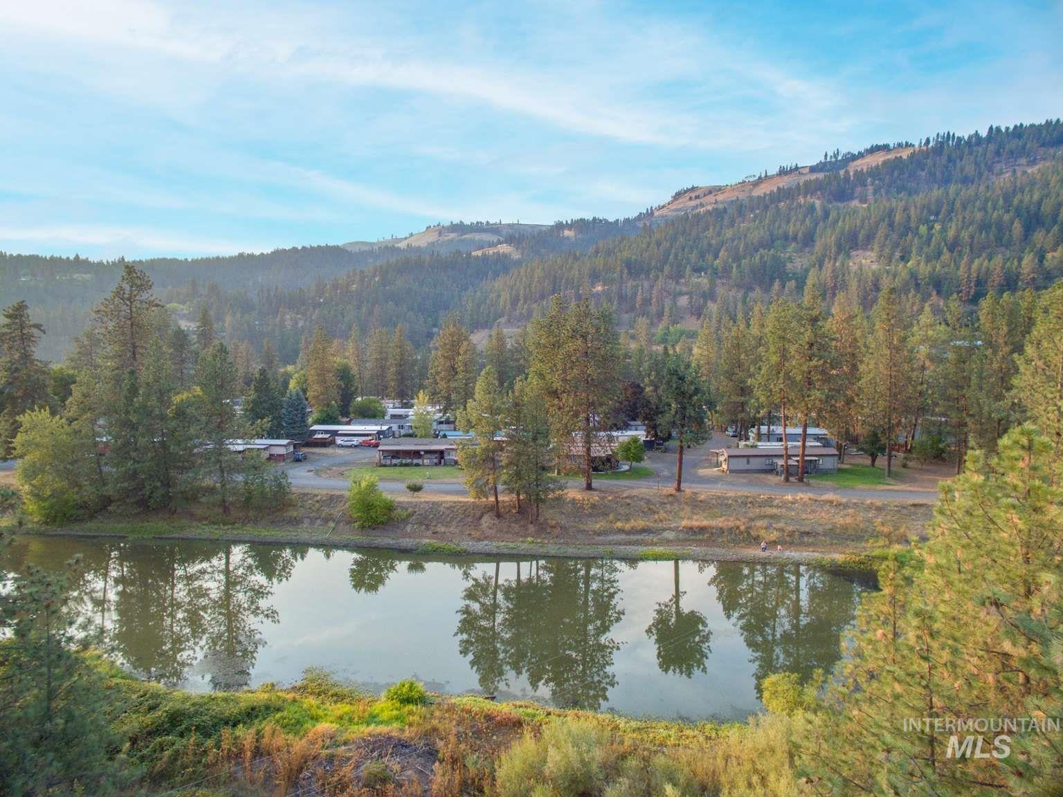 Water view with a forest and a mountainous background