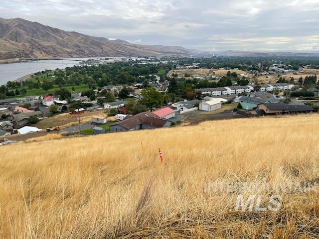 Aerial view of residential area with a water and mountain view