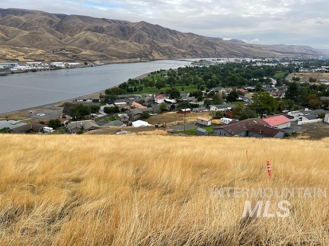 Aerial view of residential area with a water and mountain view
