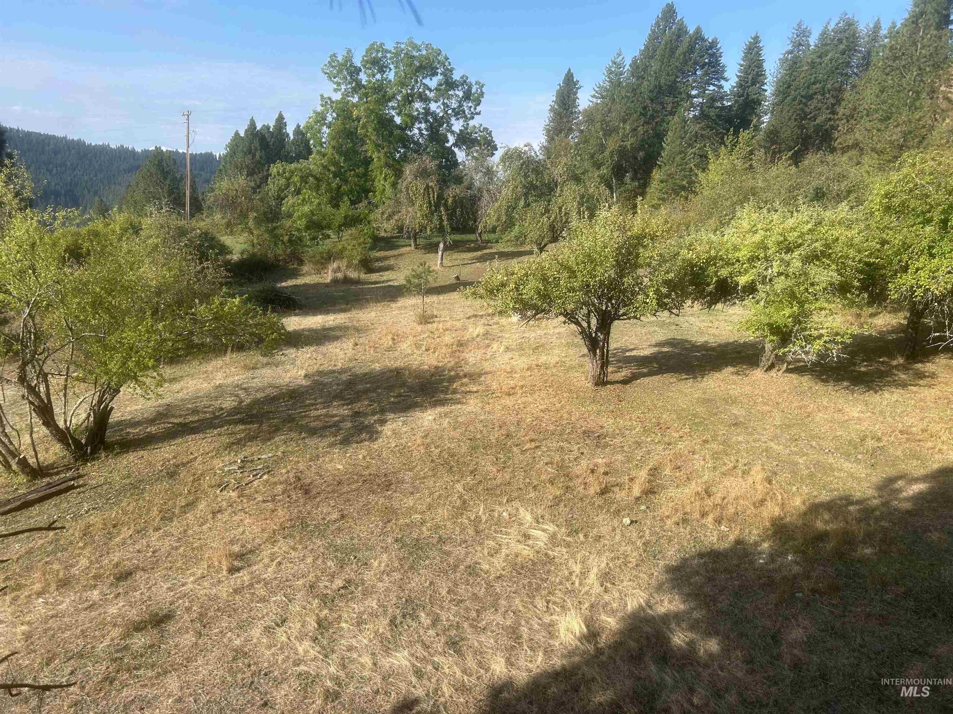 View of woods