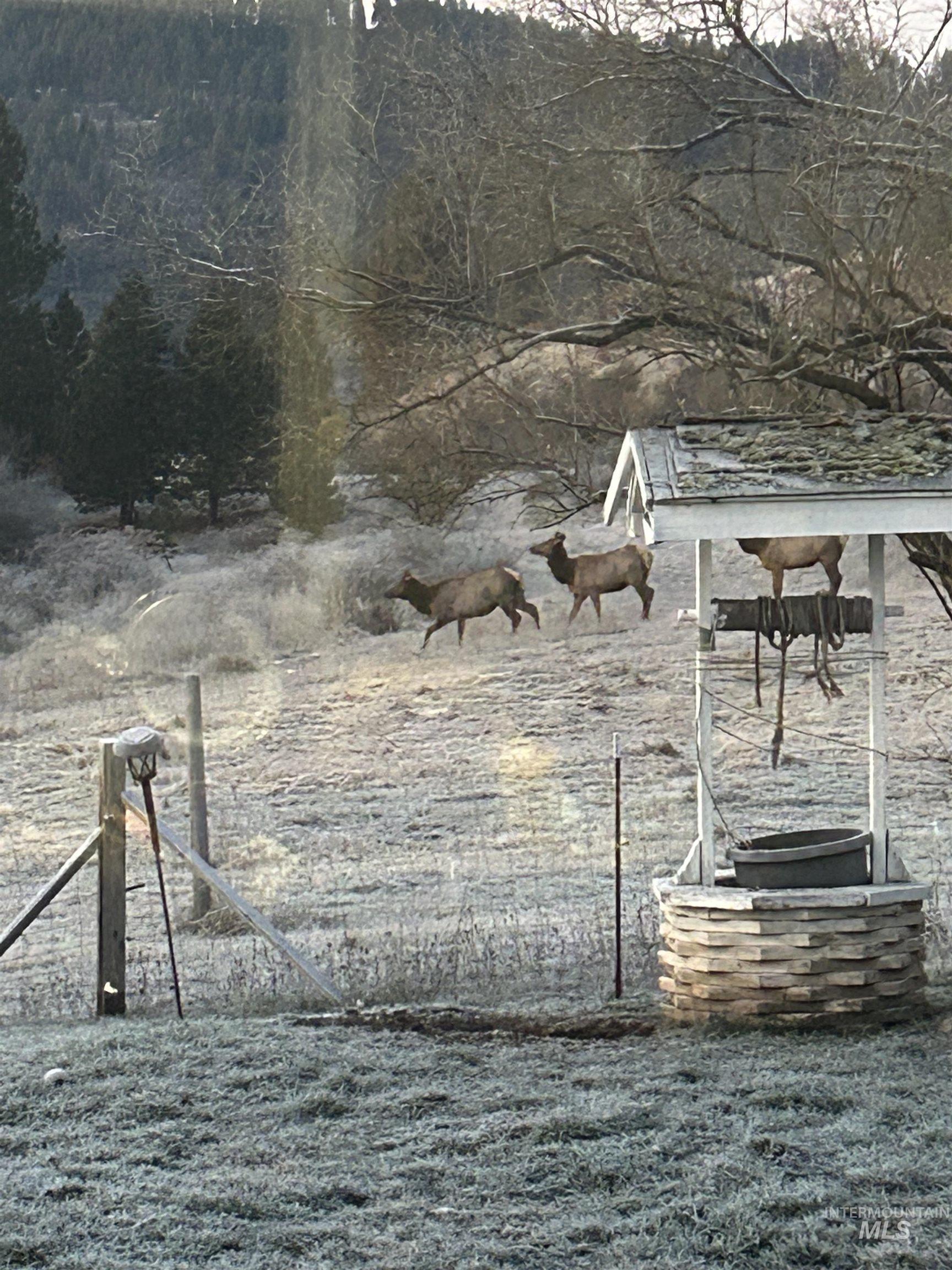 View of yard featuring a view of rural / pastoral area and a wooded view