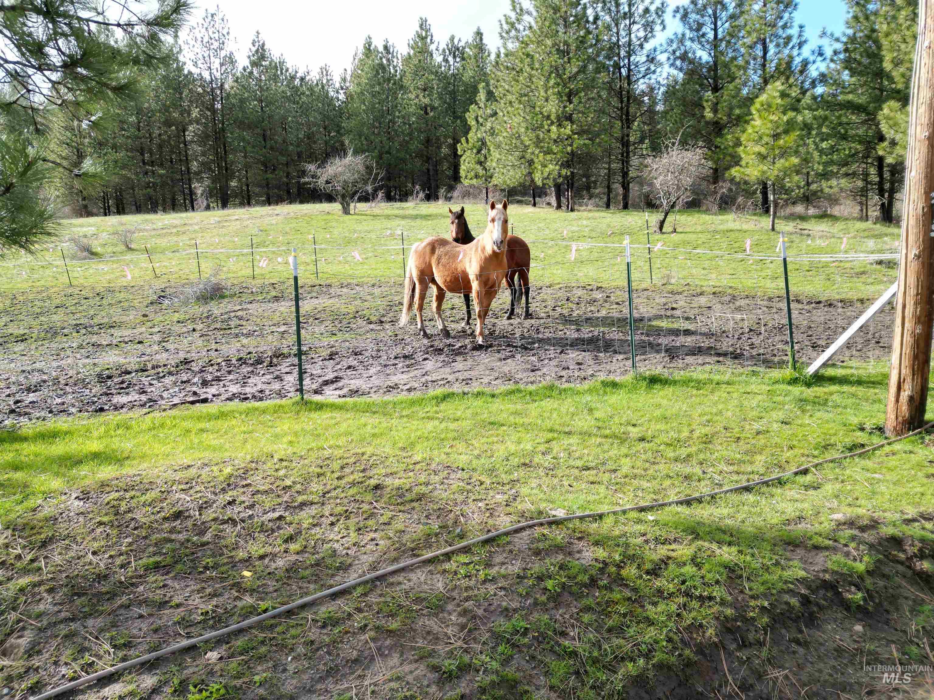 View of yard with a view of rural / pastoral area