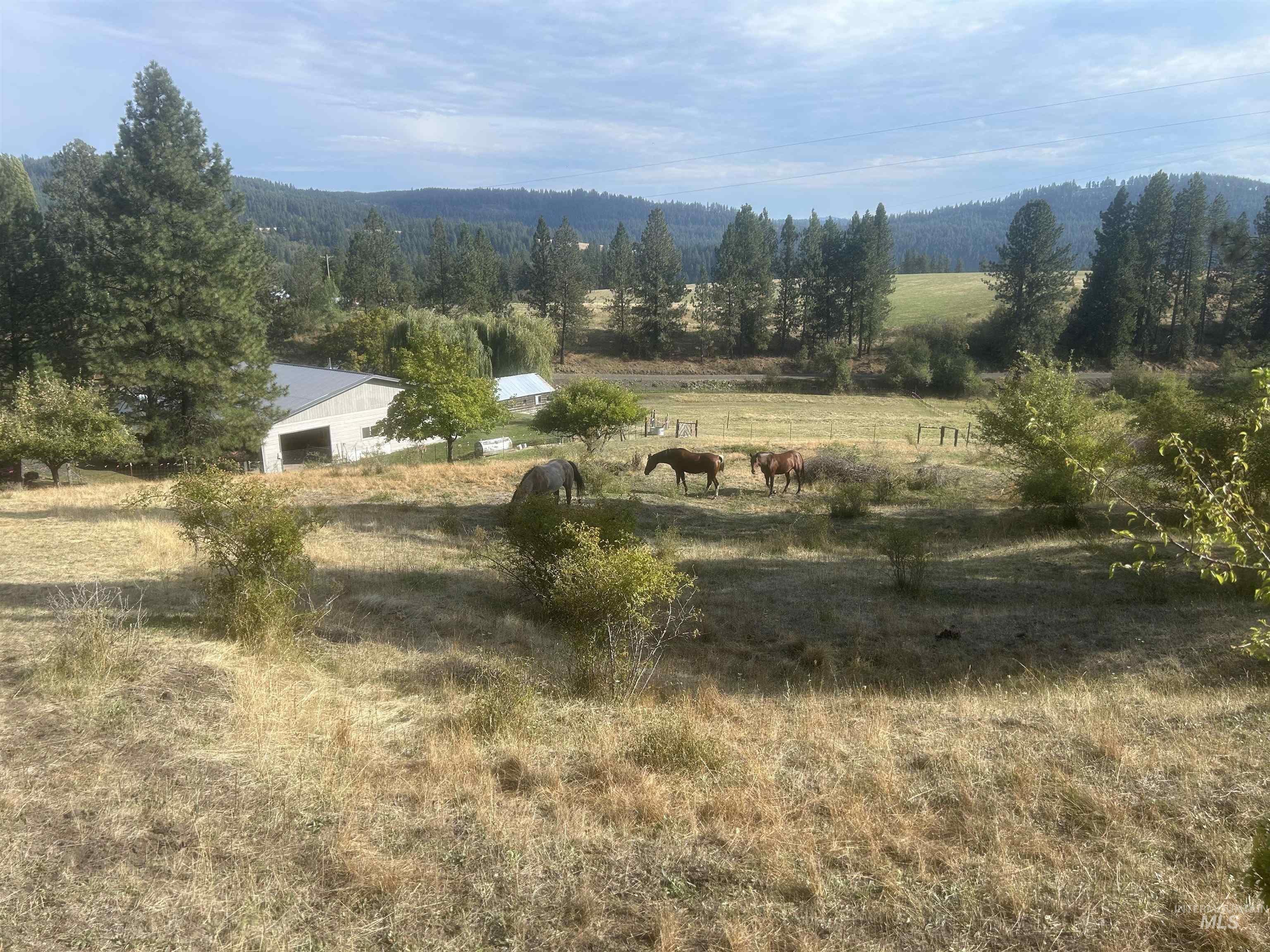 View of mountain background featuring rural landscape and agricultural land