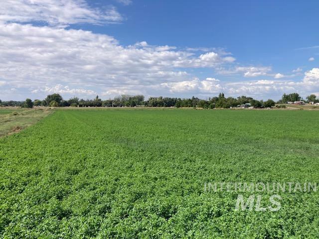 View of undeveloped land featuring rural landscape