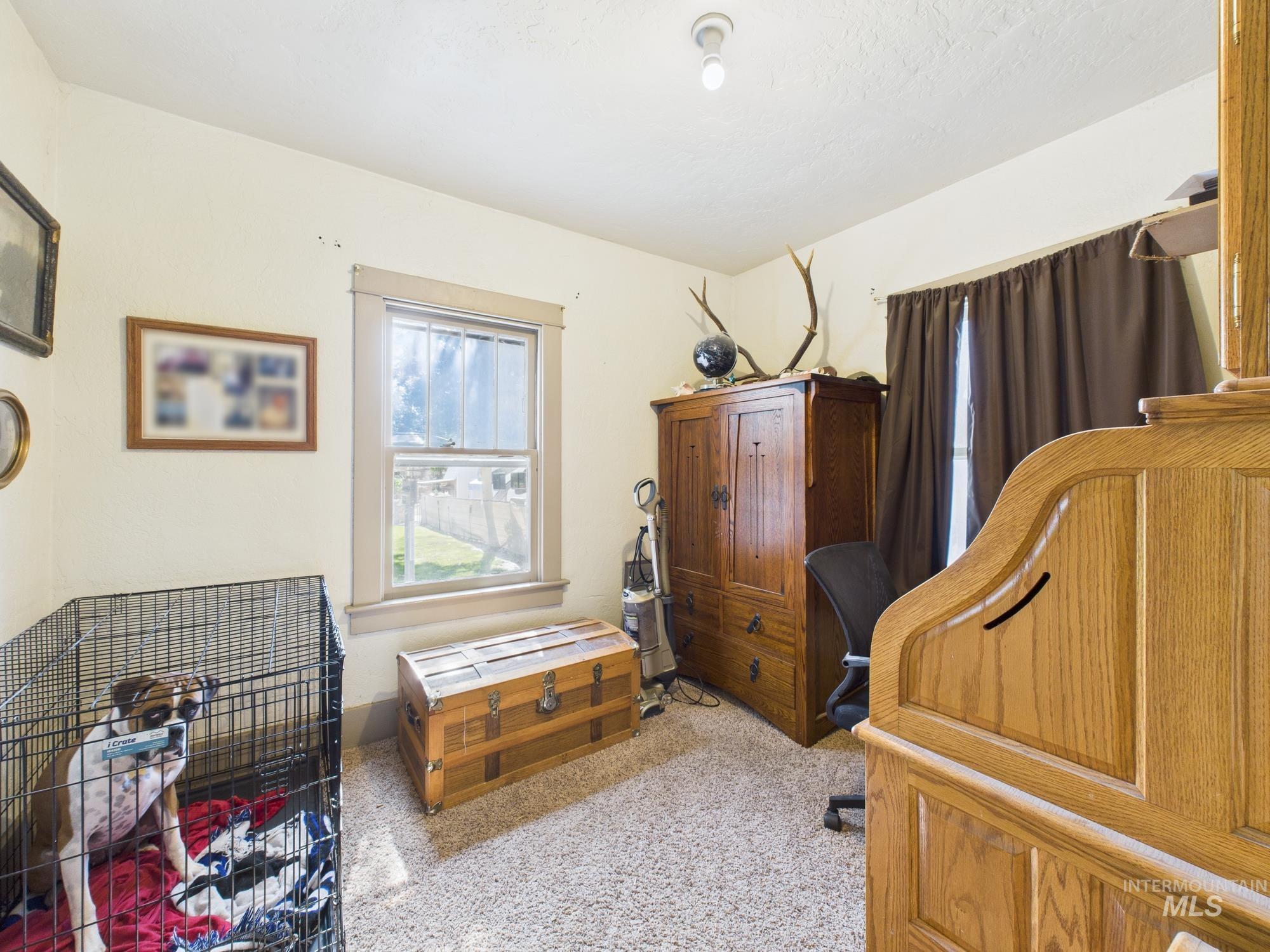 Bedroom with light carpet