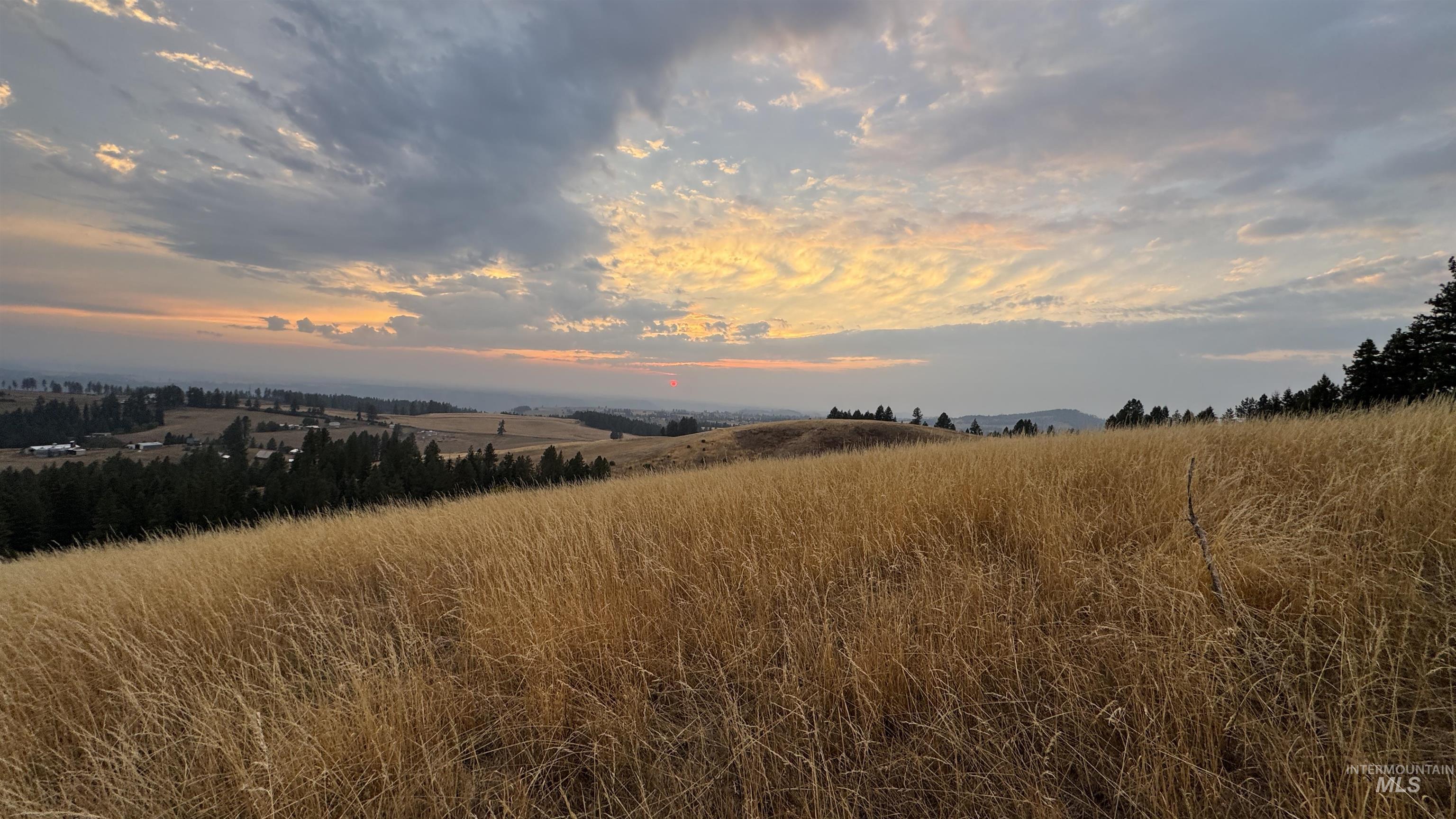 View of local wilderness featuring rural landscape