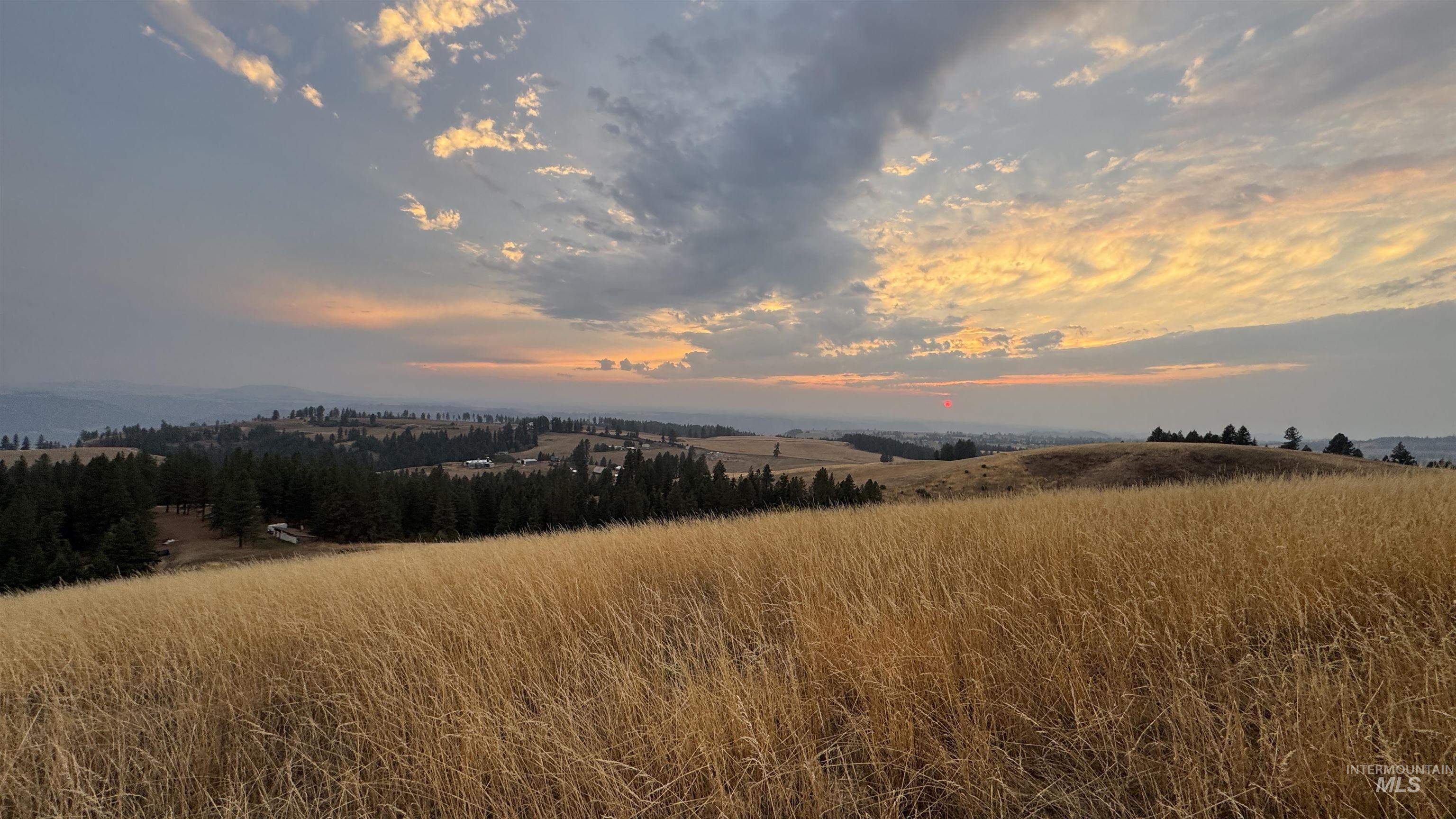 Nature at dusk featuring a view of countryside