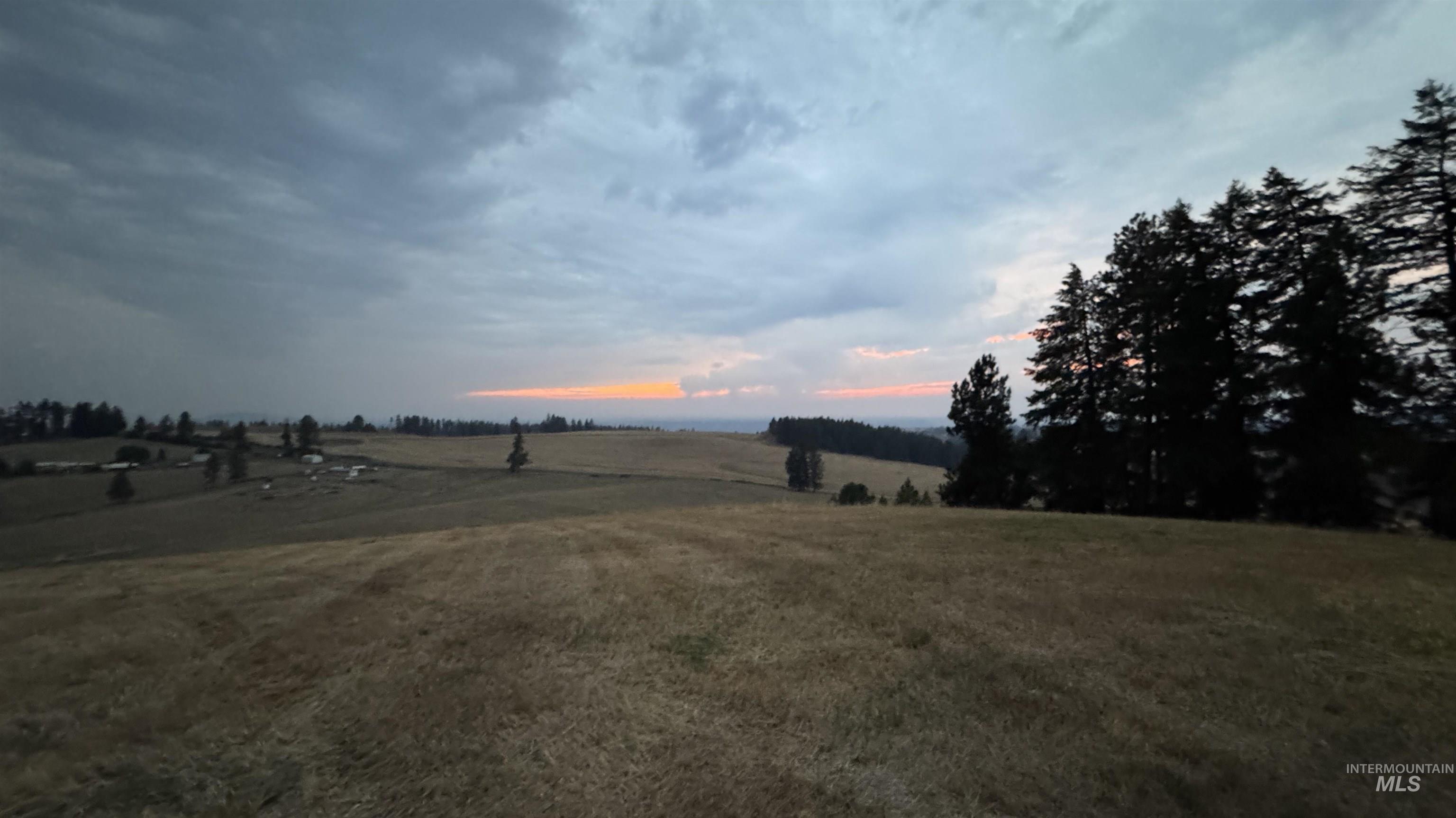 View of green lawn with a view of rural / pastoral area