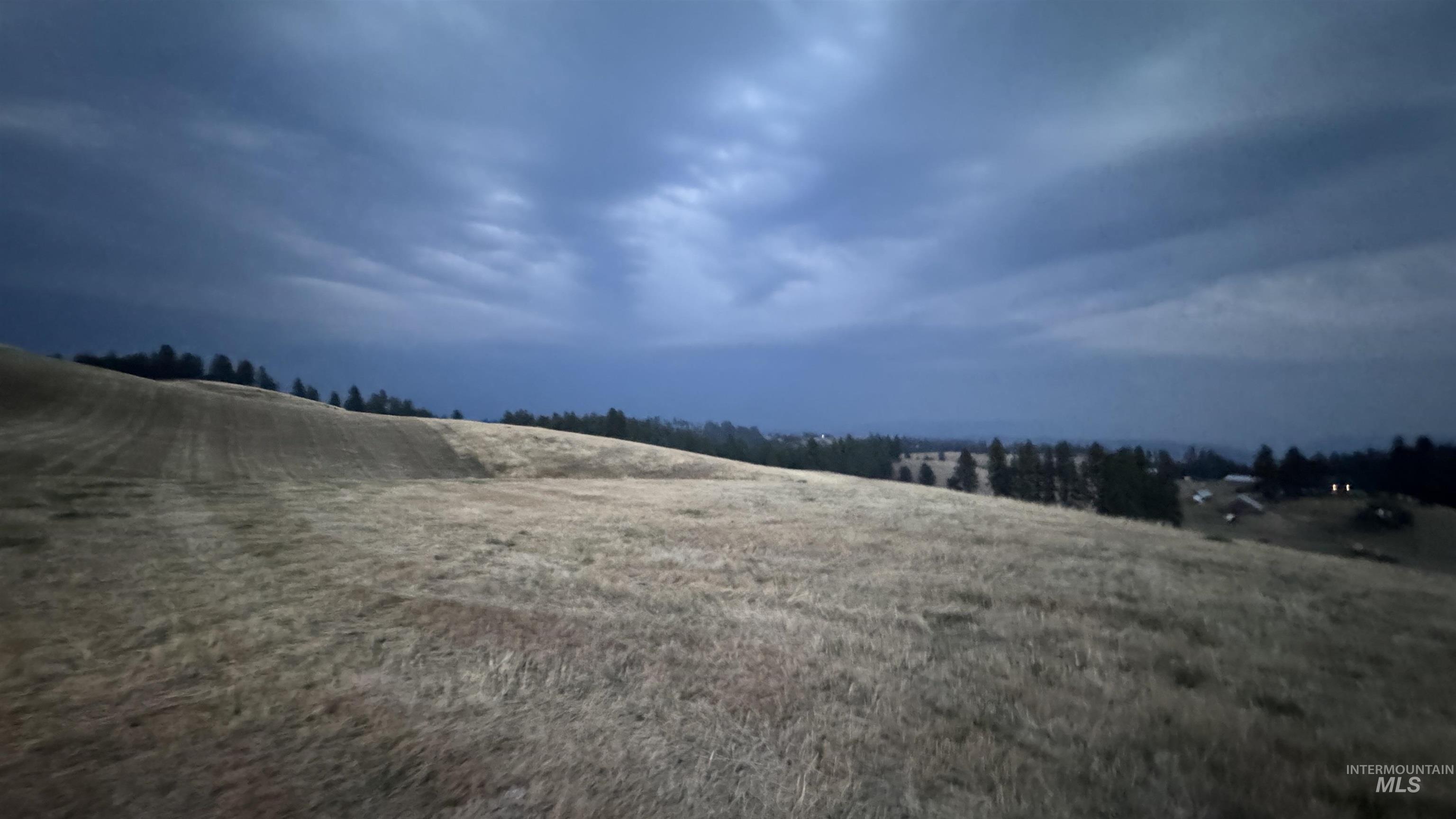 View of yard featuring a rural view