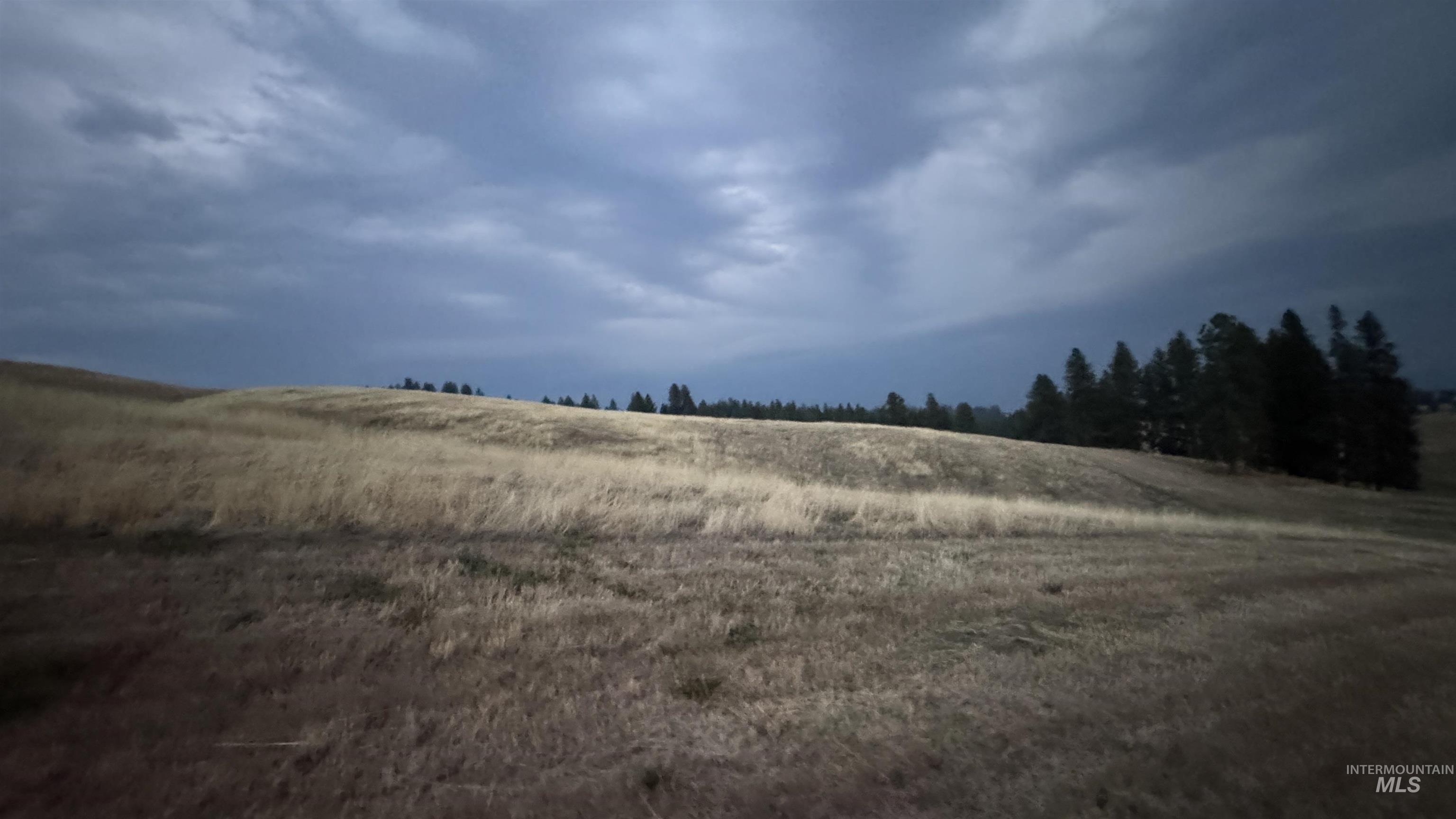 View of local wilderness featuring rural landscape