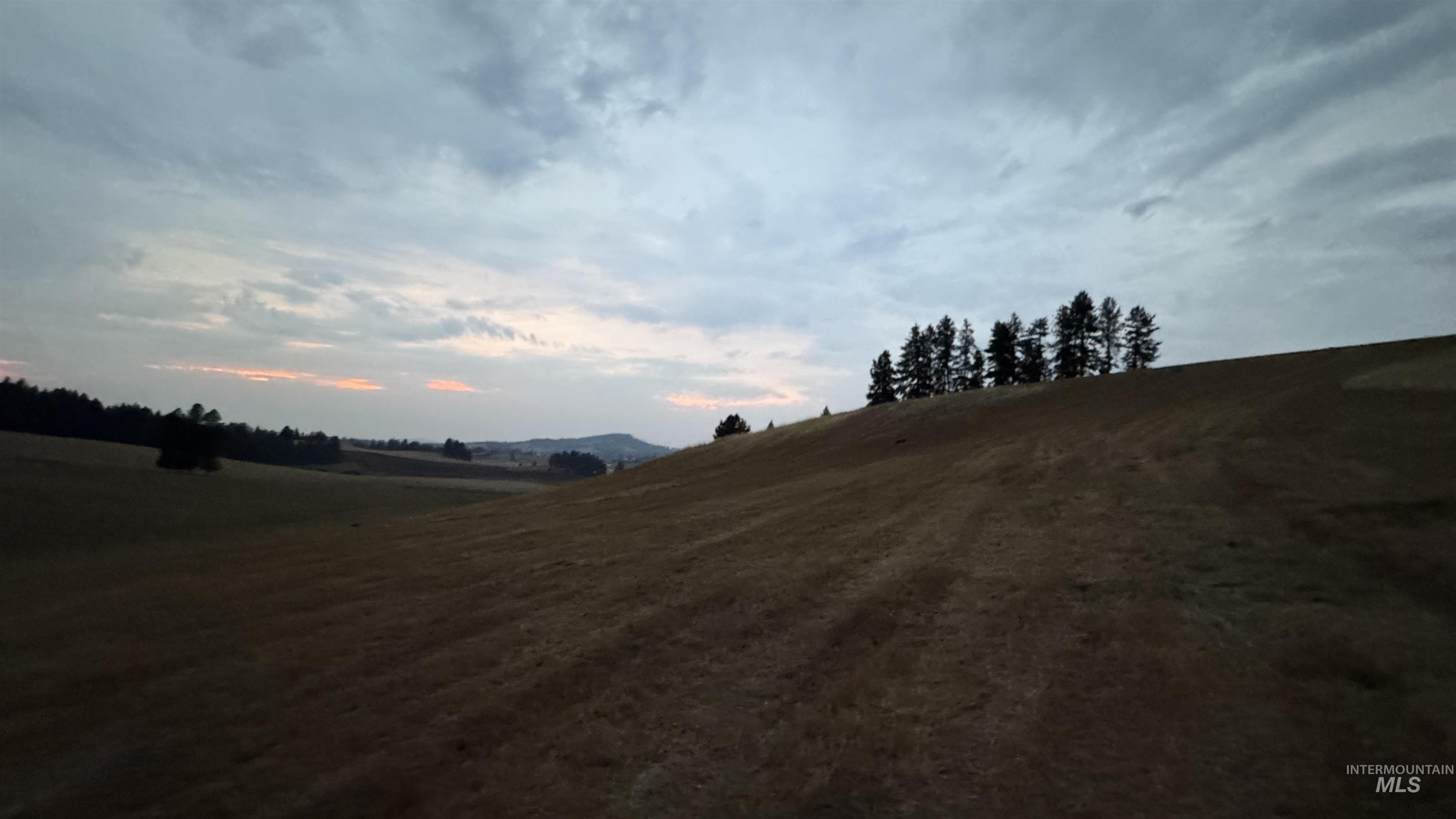 Yard at dusk with a view of countryside