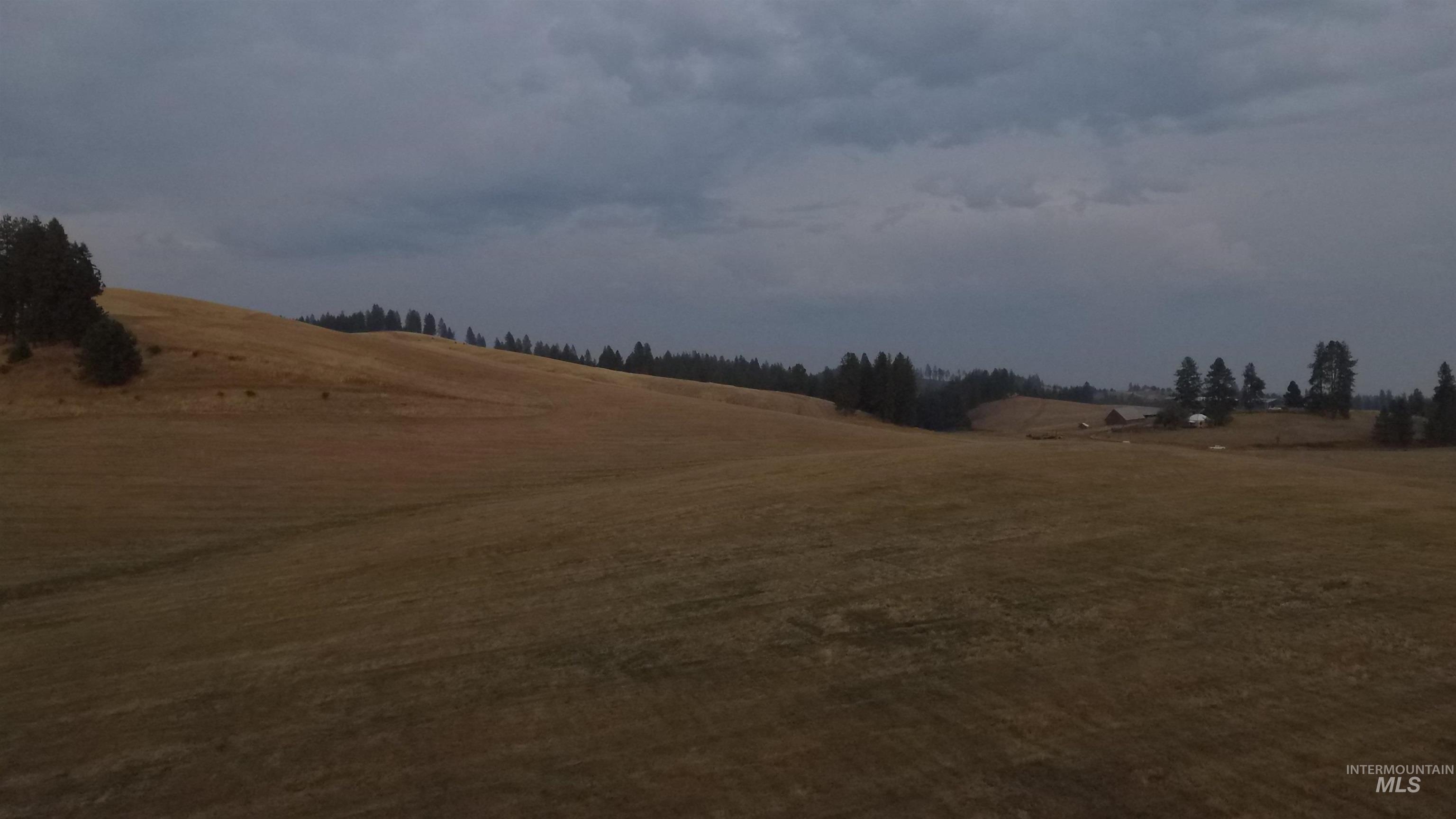 View of yard featuring a view of rural / pastoral area