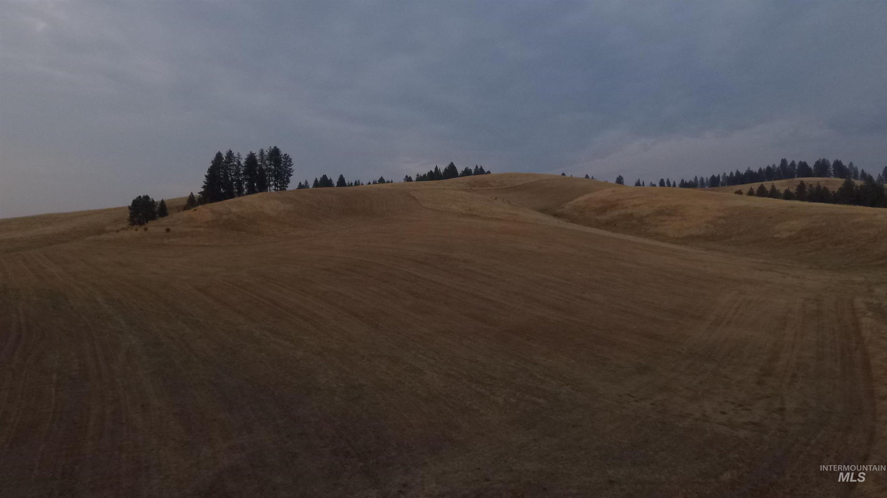 View of yard with a view of countryside