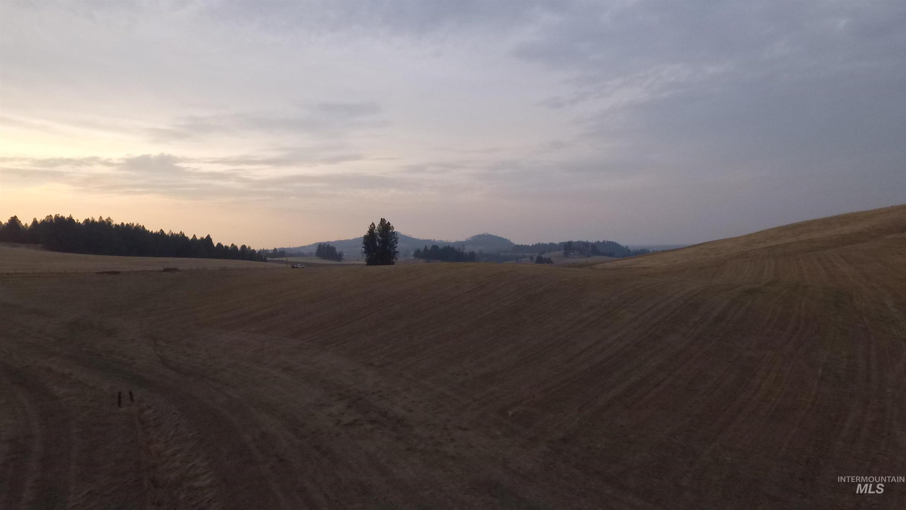Yard at dusk with a rural view and a mountain view