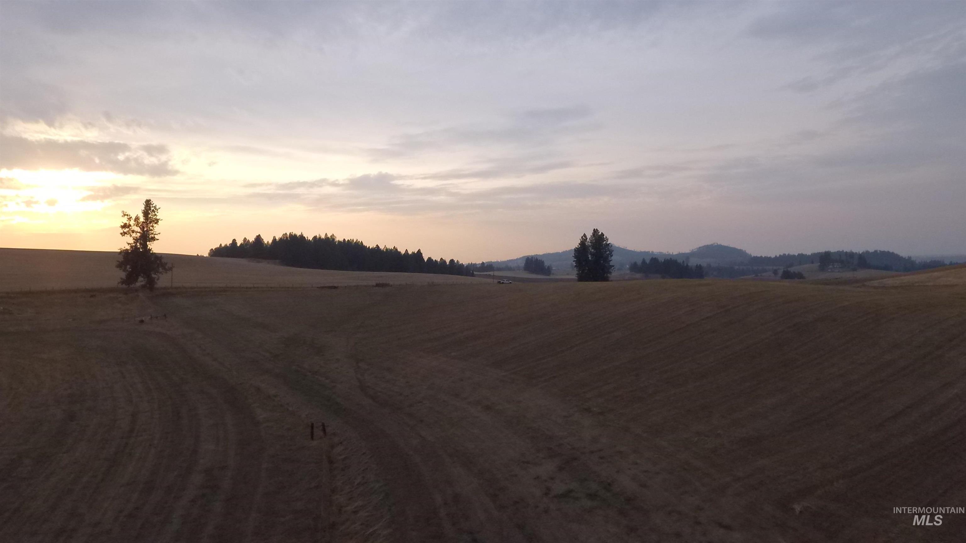 Yard at dusk with a rural view