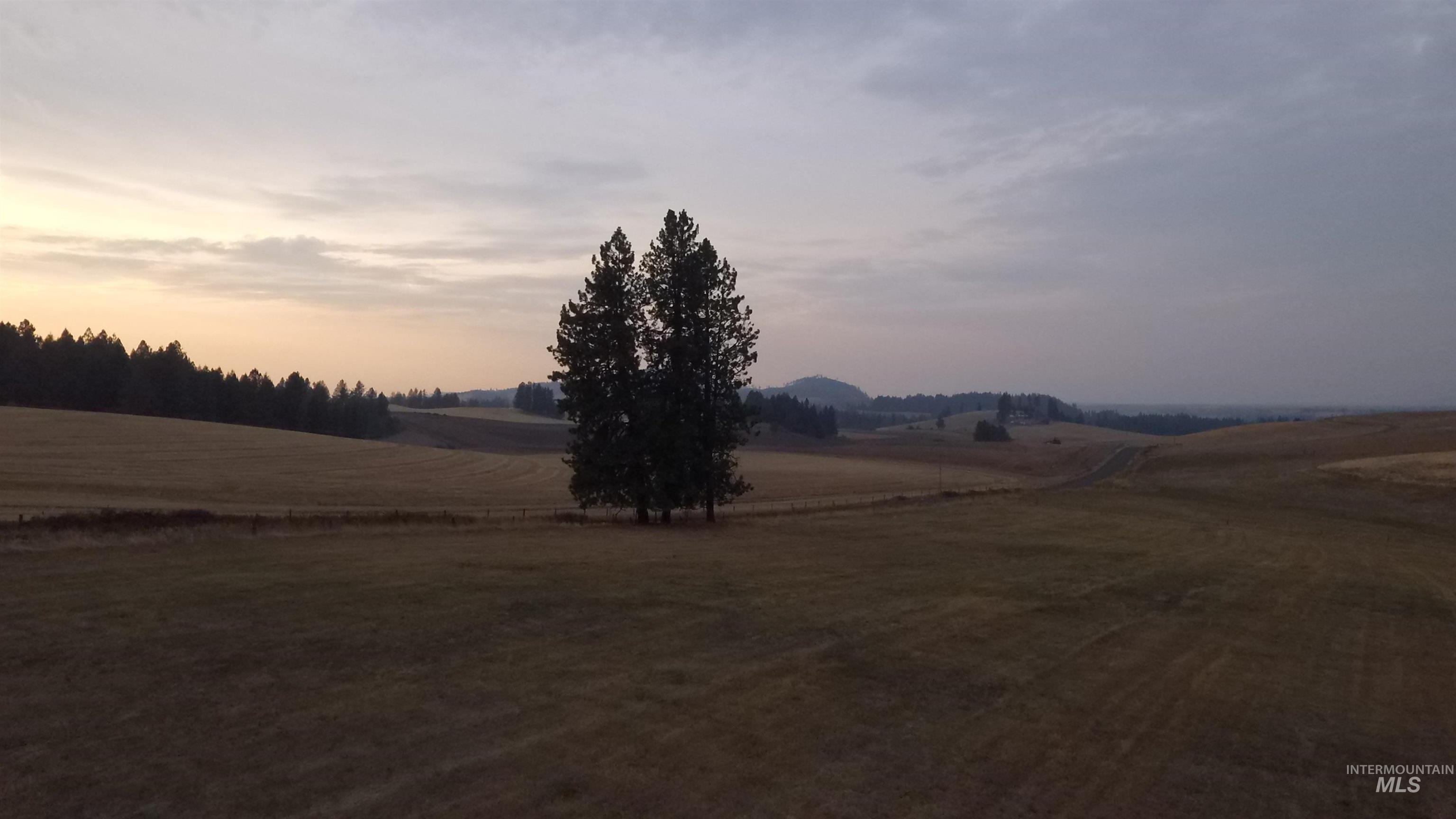 Yard at dusk featuring a view of countryside