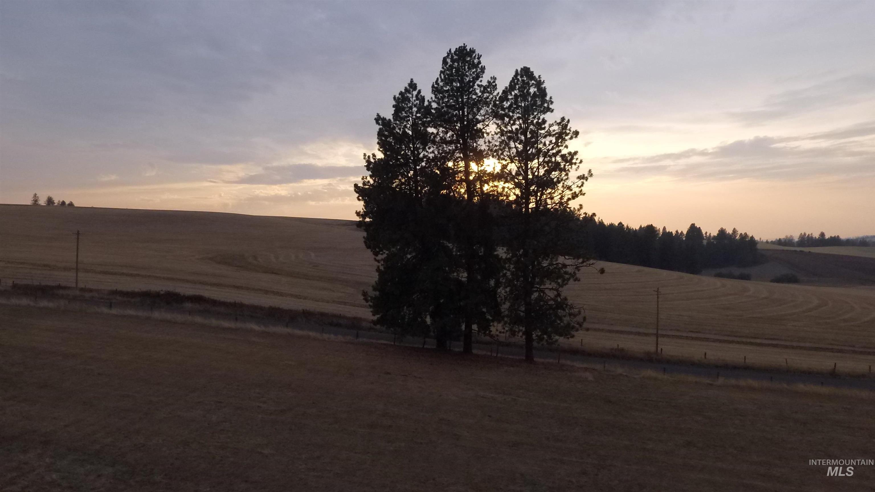 Yard at dusk featuring a view of rural / pastoral area