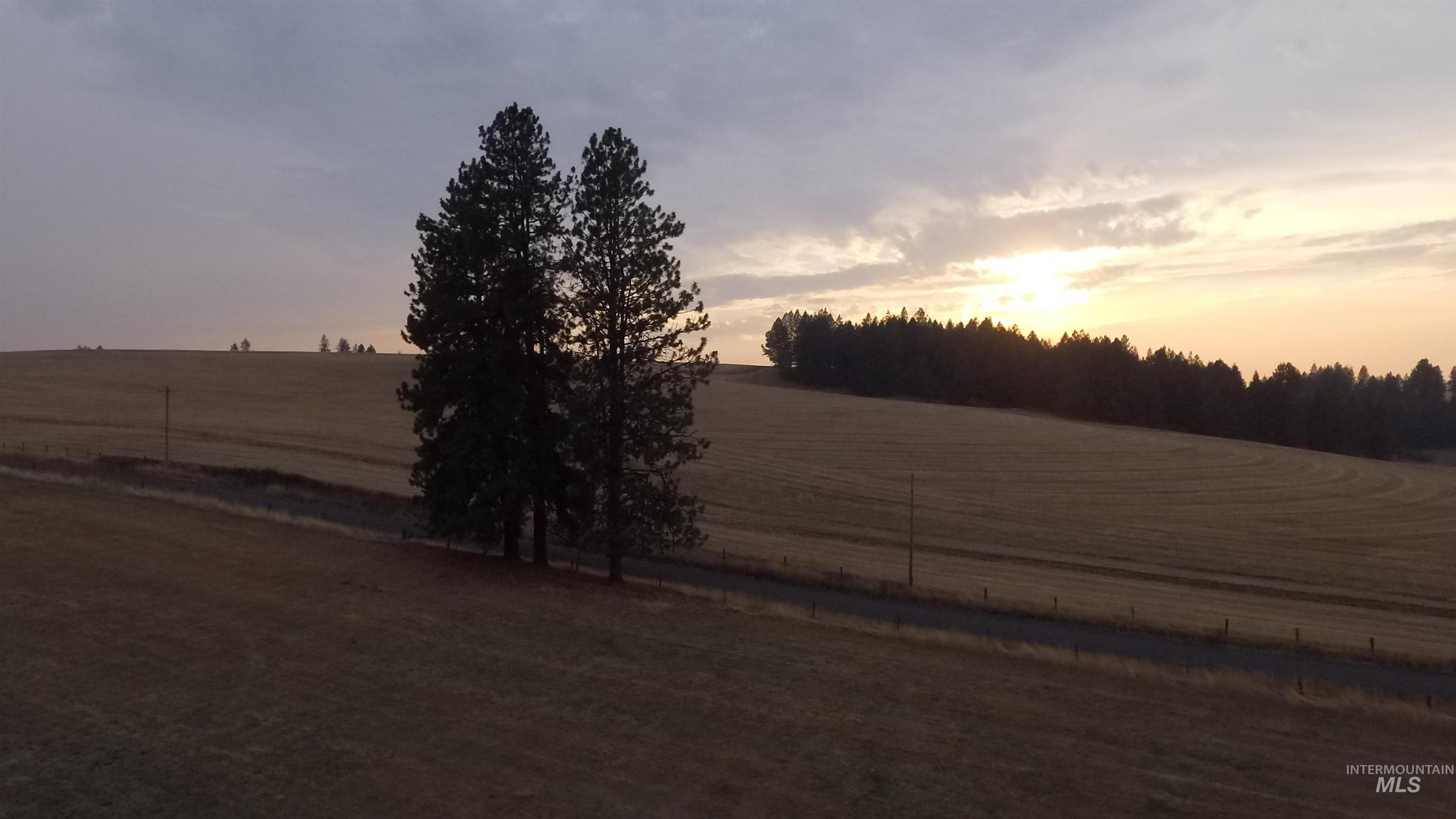 View of yard with a view of countryside