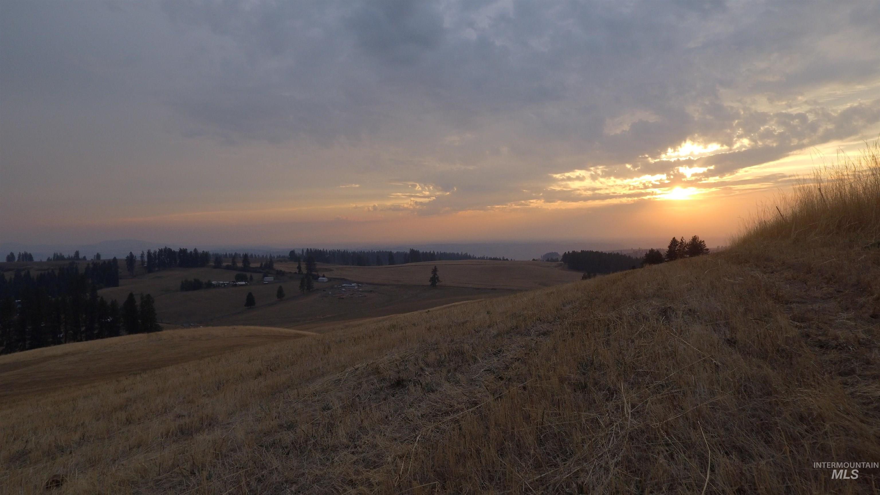 Yard at dusk with a rural view