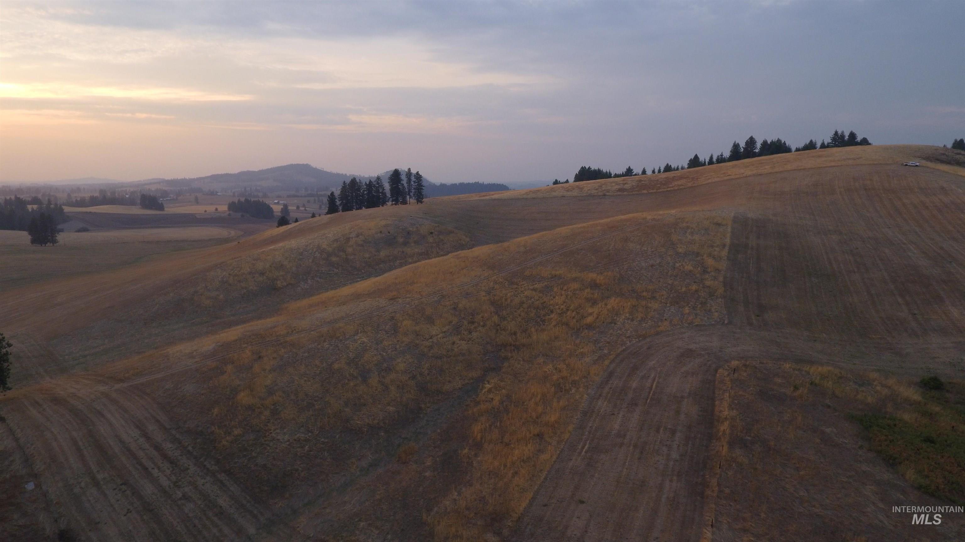 Aerial view at dusk
