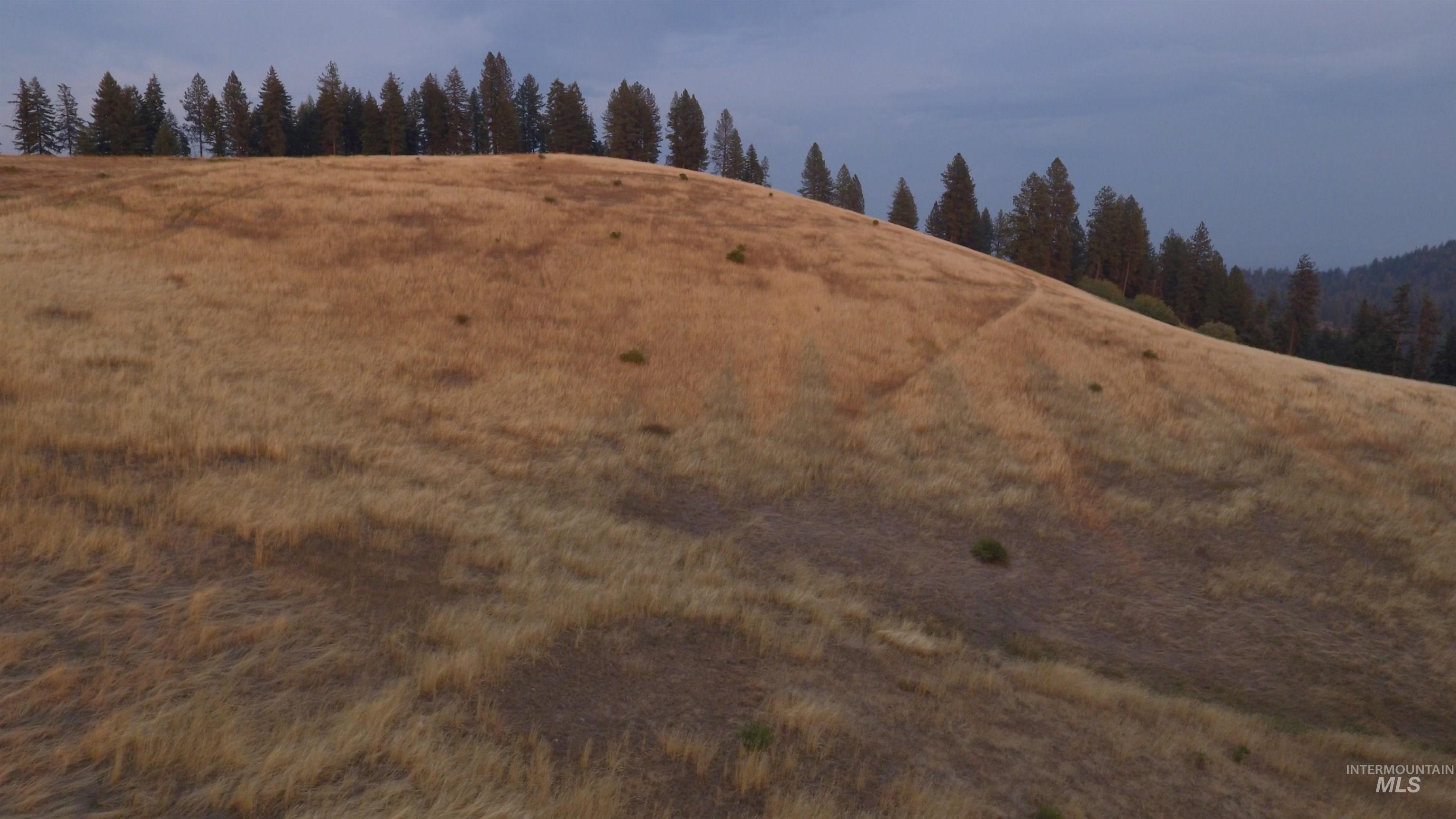 View of undeveloped land