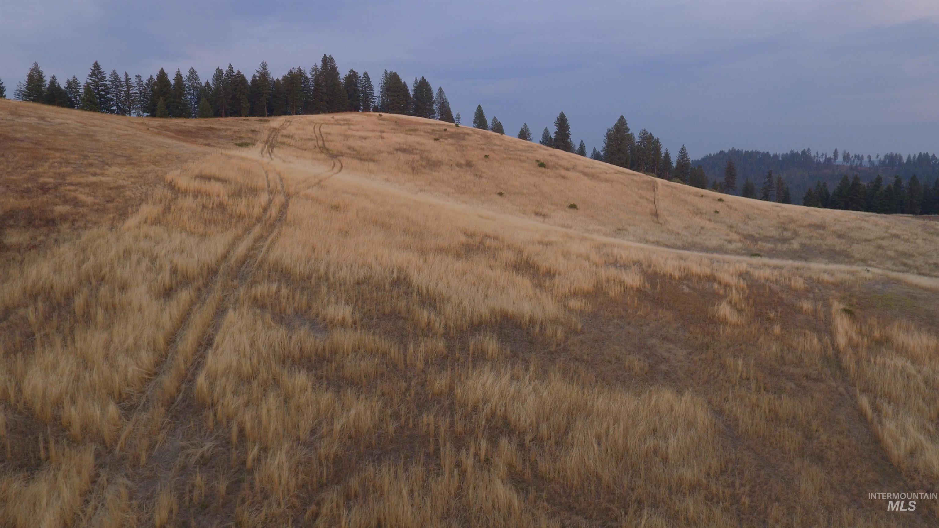 View of wooded area with a rural view