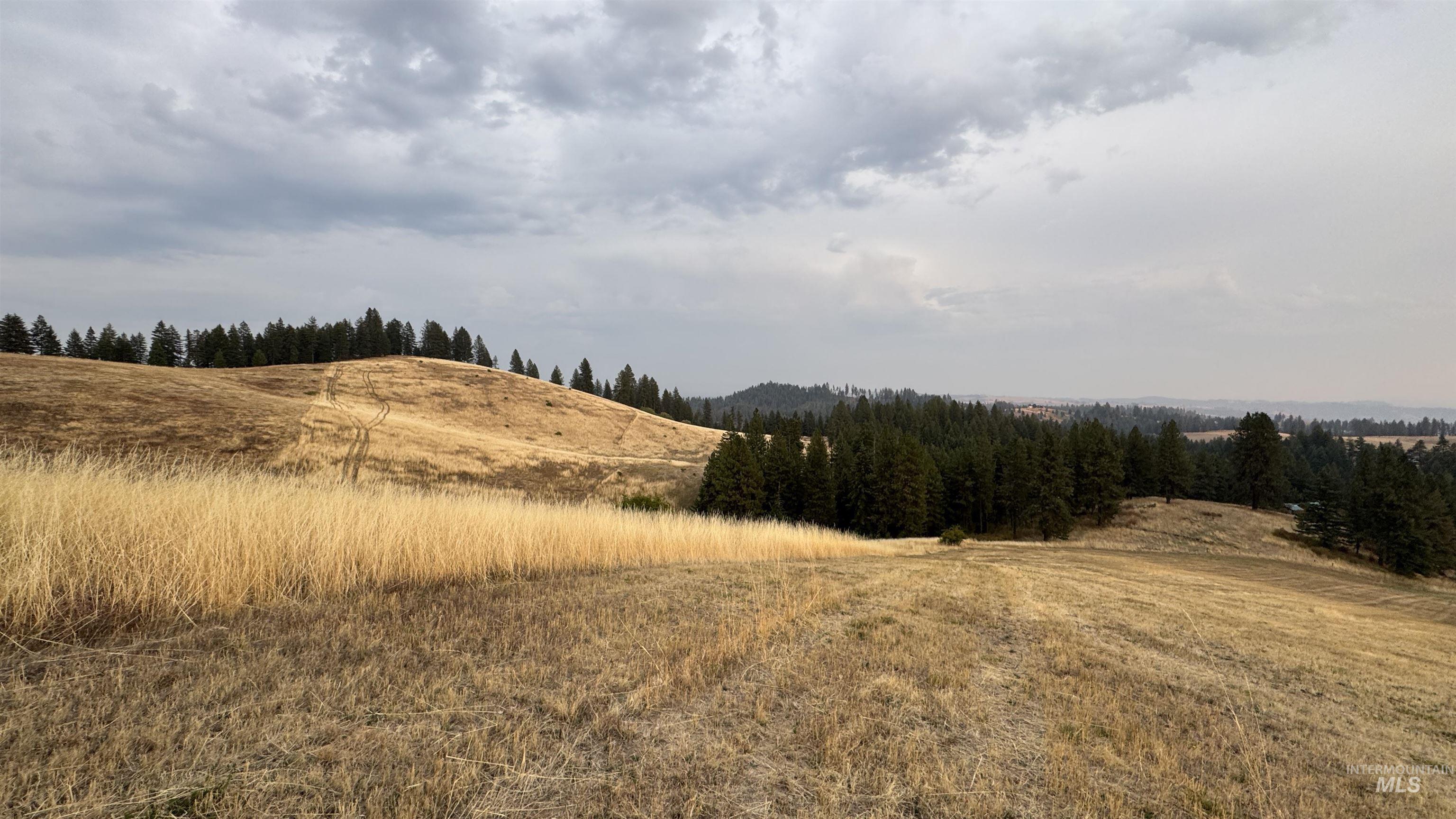 View of nature featuring rural landscape
