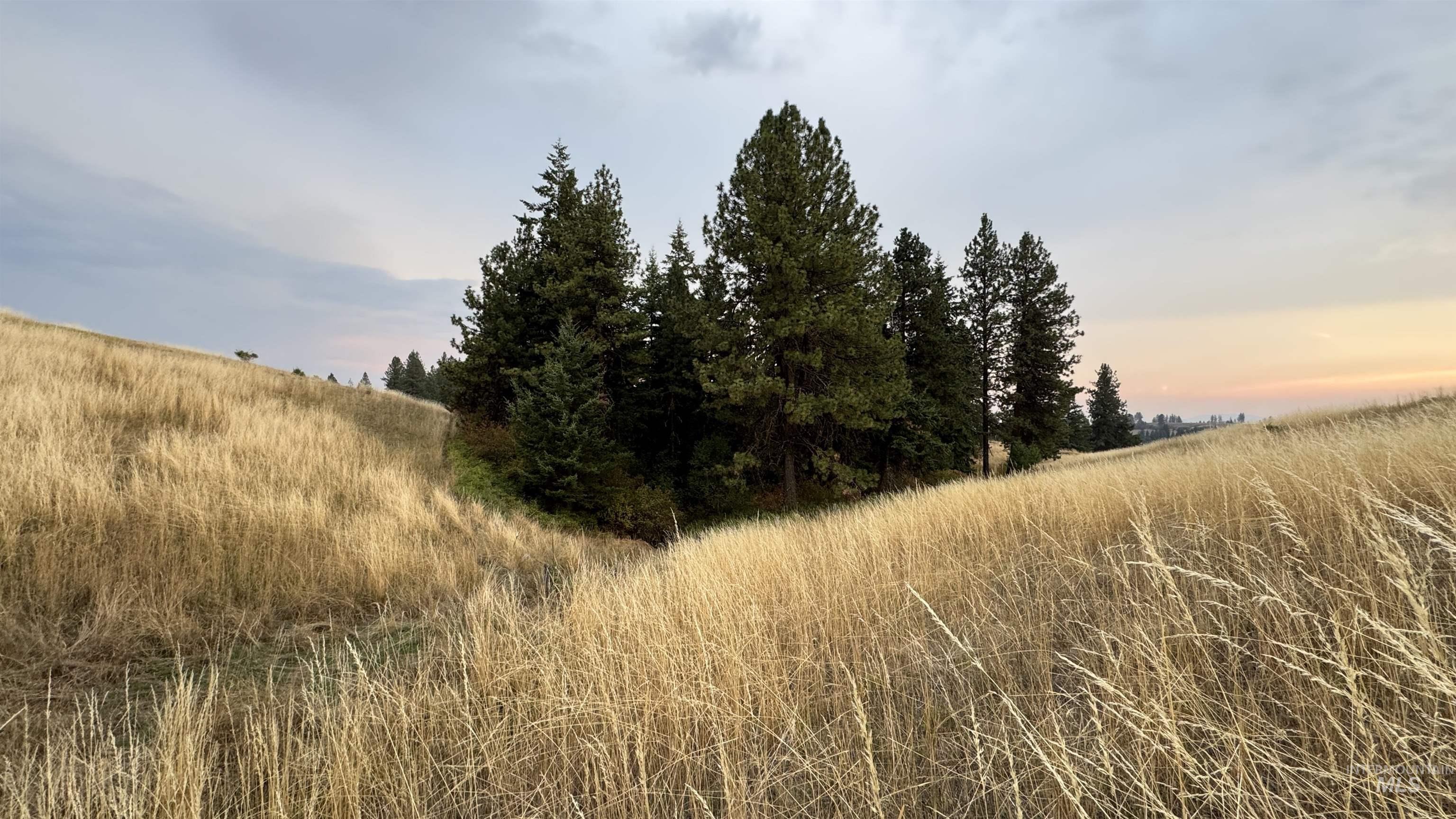 View of local wilderness featuring rural landscape